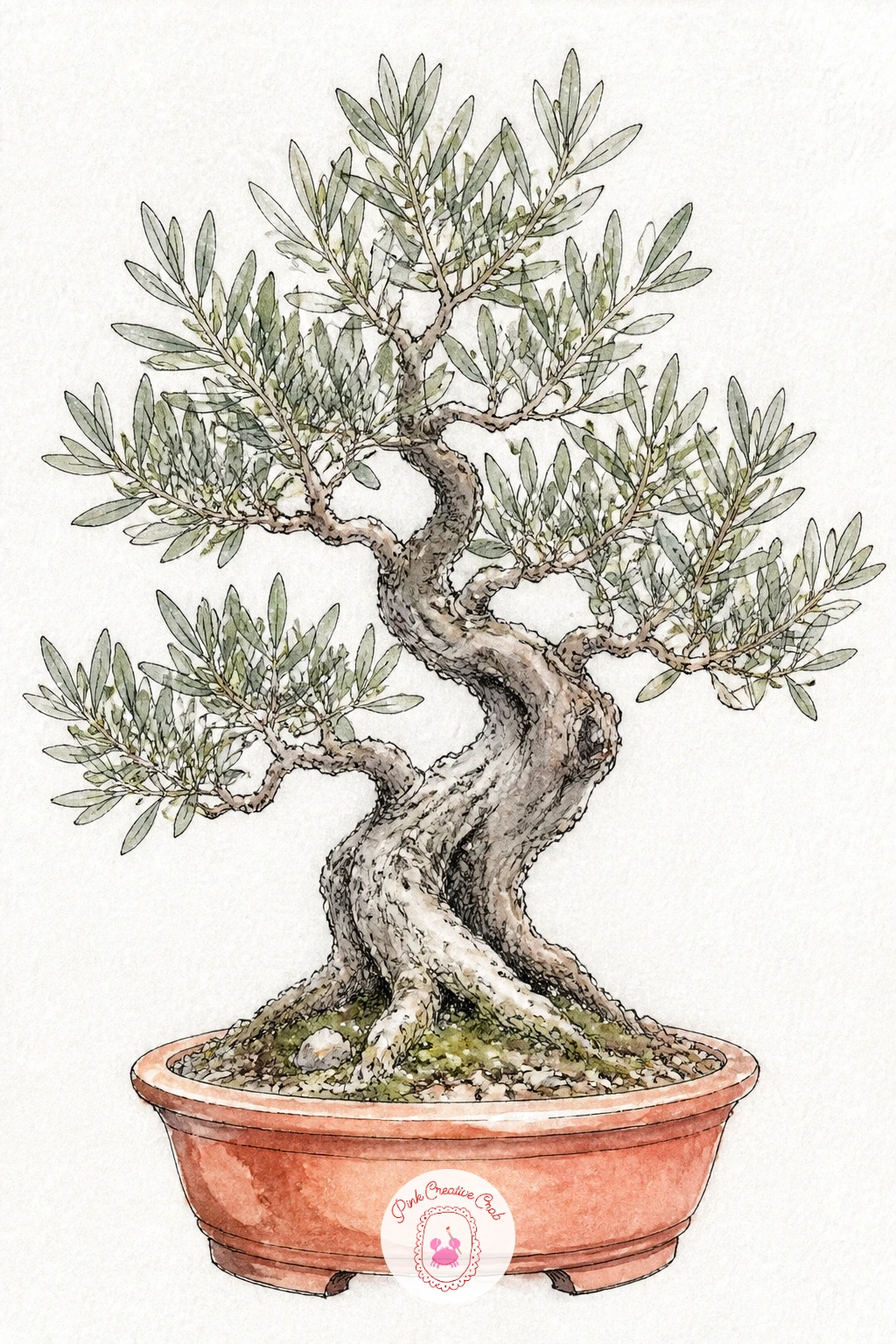 Olive Bonsai in a Terracotta Pot — Shift to a Mediterranean mood with an olive bonsai, its narrow silvery leaves and gnarled trunk sitting naturally in a warm
