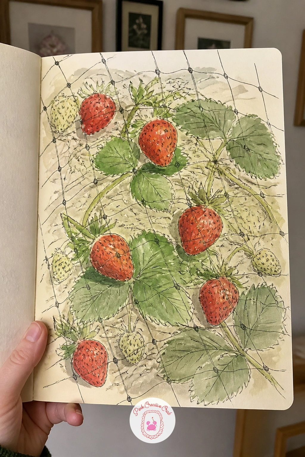 Strawberries Ripening Under Netting — Strawberries ripening under netting is a nice test of drawing something half-hidden, since the netting sits between you