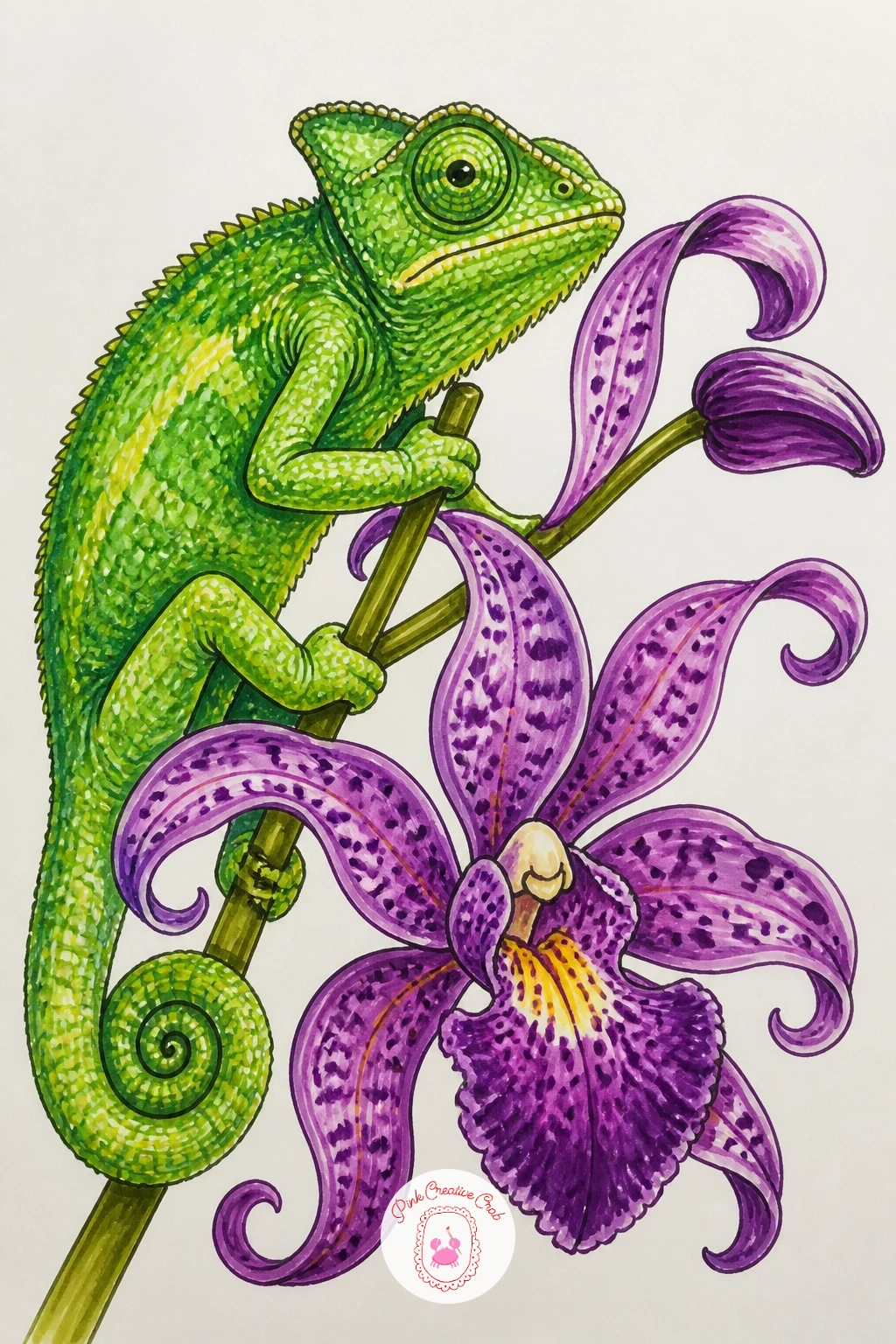 Chameleon on a Jungle Orchid — Return to the flowers with something more exotic than the hibiscus: a chameleon balanced on a dramatic jungle orchid, its petals