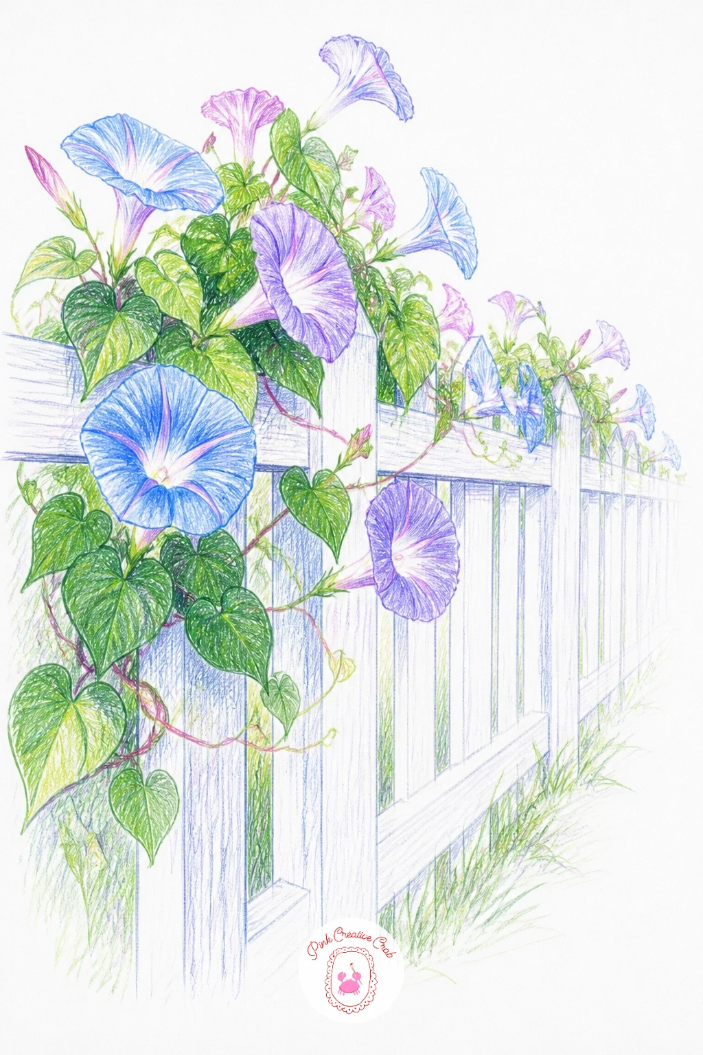 Morning Glories on a White Fence — Morning glories on a white fence turn on perspective, since a picket fence running away from you needs to shrink