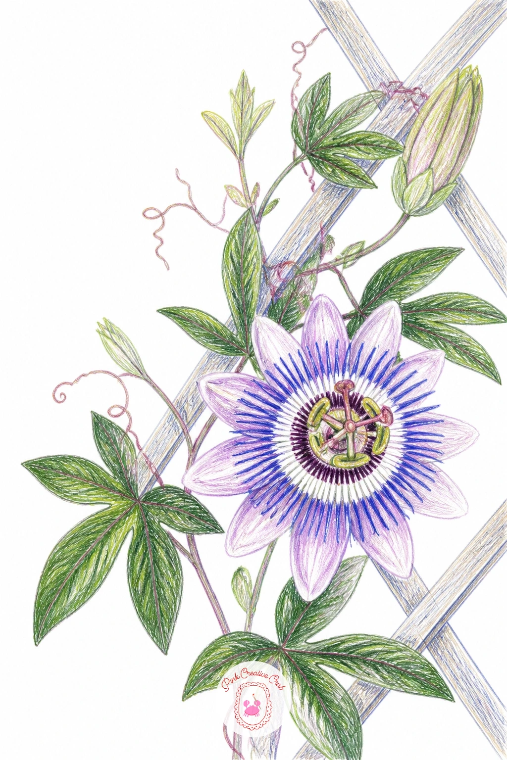 Passion Flower Vine on a Trellis — Passion flower vine on a trellis is the most intricate flower on this list, so give it the most time and work from the