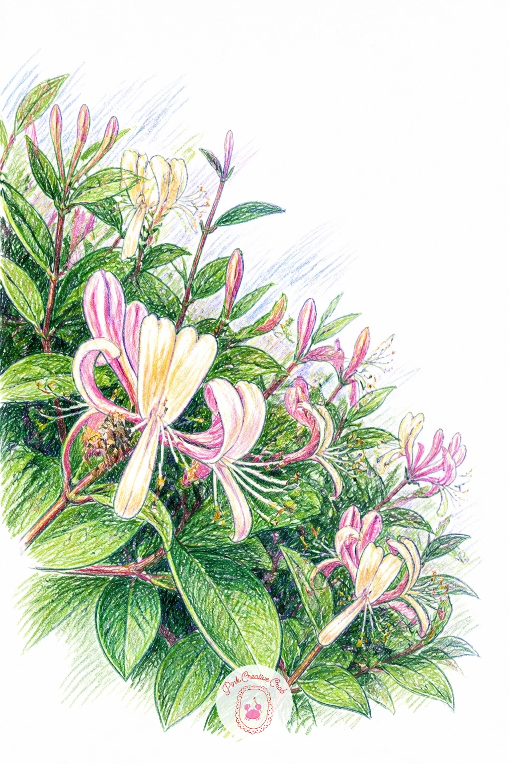 Honeysuckle in a Hedge With a Bee — Honeysuckle in a hedge with a bee adds a living visitor to the vine, so place the bee before you finish the flowers around