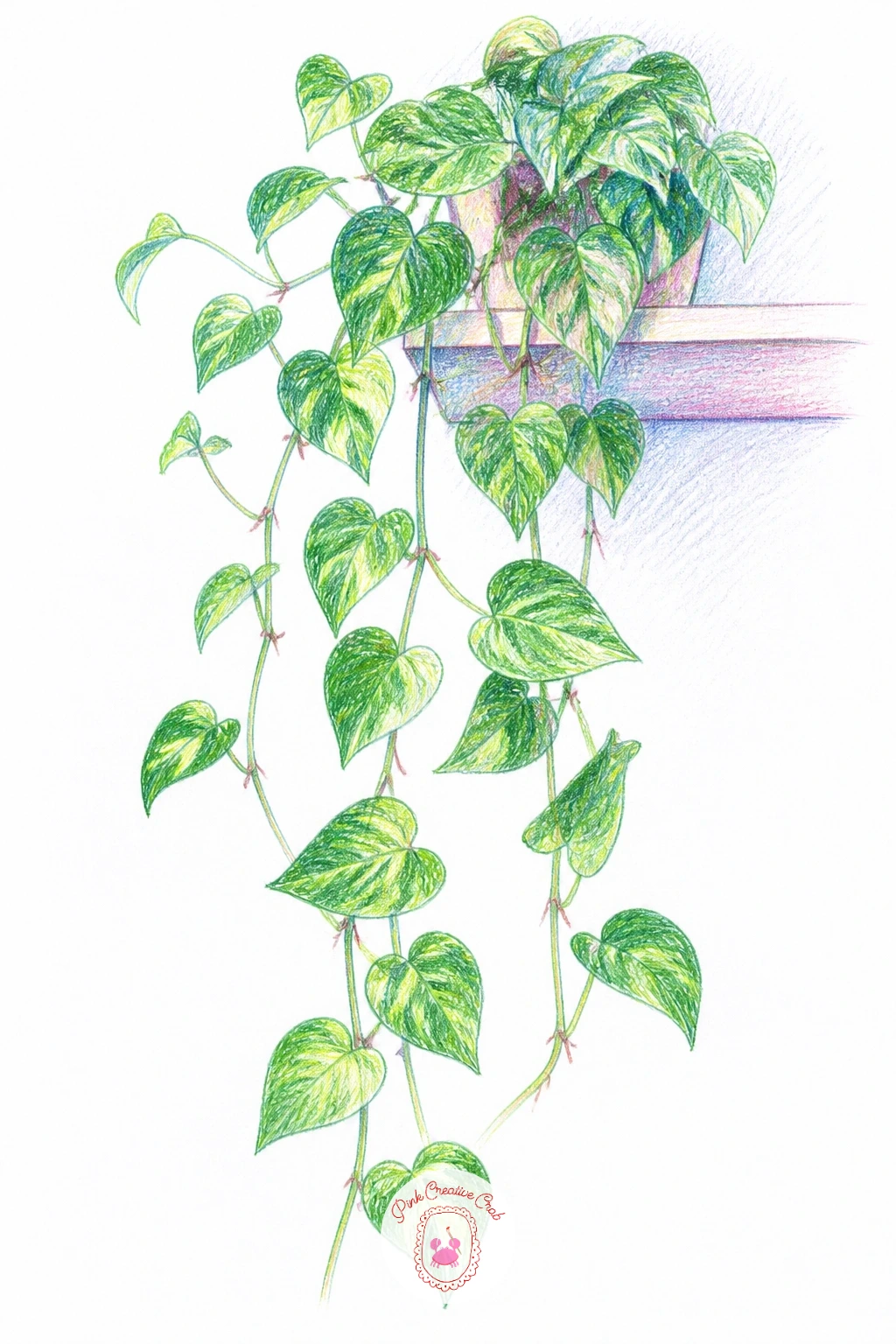 Pothos Trailing From a Shelf Indoors — Pothos trailing from a shelf indoors takes the vine theme inside for a change of setting, and it suits the quick