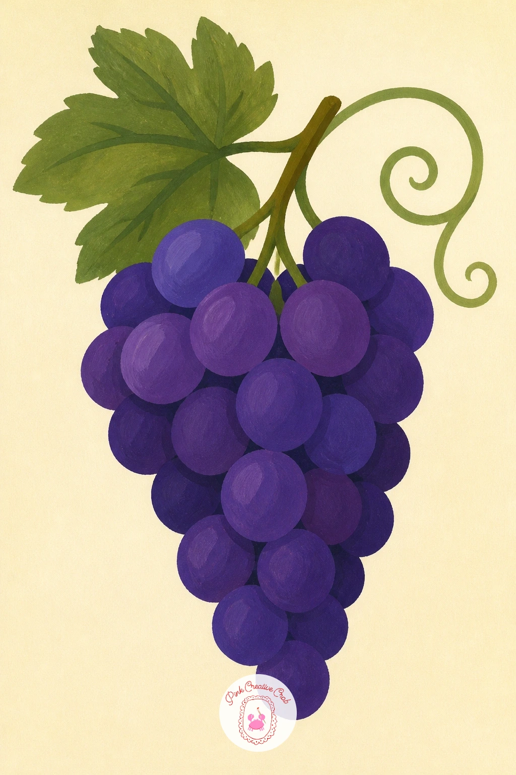 Grape Bunch With a Curling Tendril — Focus in tight on a single grape bunch paired with one curling vine tendril, a nice detail study after all the wider