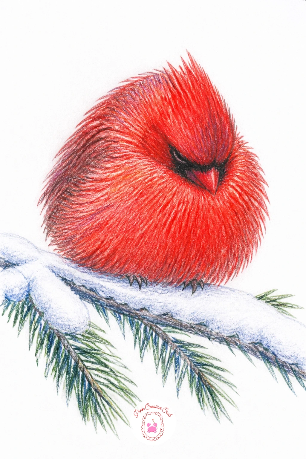 Cardinal Fluffed Up Against the Cold — Cardinals puff their feathers out in deep cold until they look almost round, and that shape alone makes for a satisfying