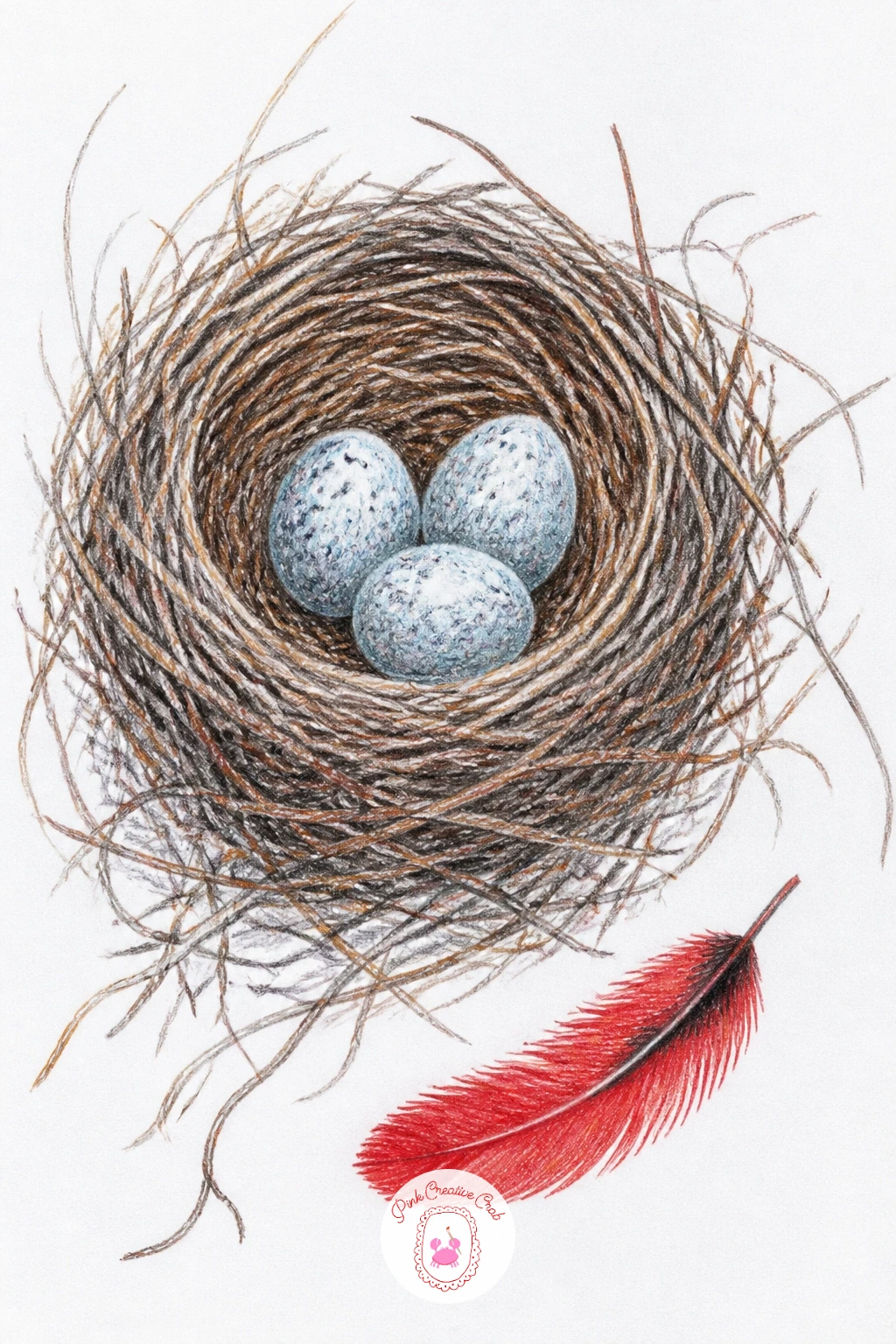 Cardinal Nest With Blue-Speckled Eggs — No bird needs to appear at all in this one, since the nest and eggs can carry the whole drawing on their own, or sit