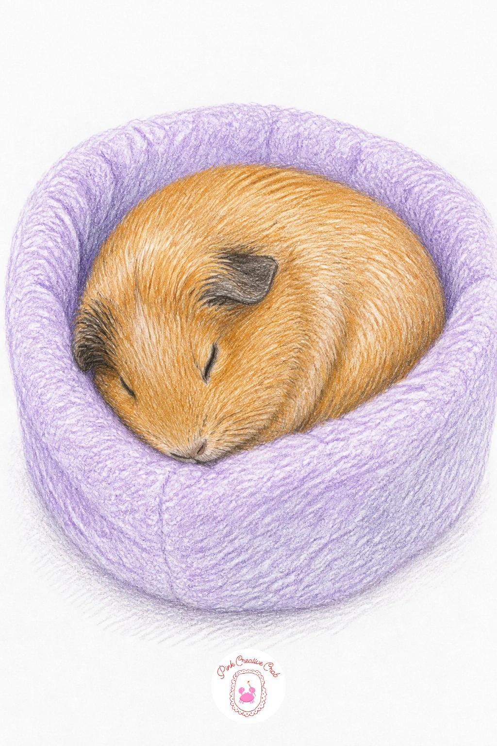 Guinea Pig Asleep In Fleece Bed — After all that bouncing and dressing up, give your guinea pig a rest in a fleece bed, which is a lovely soft subject for