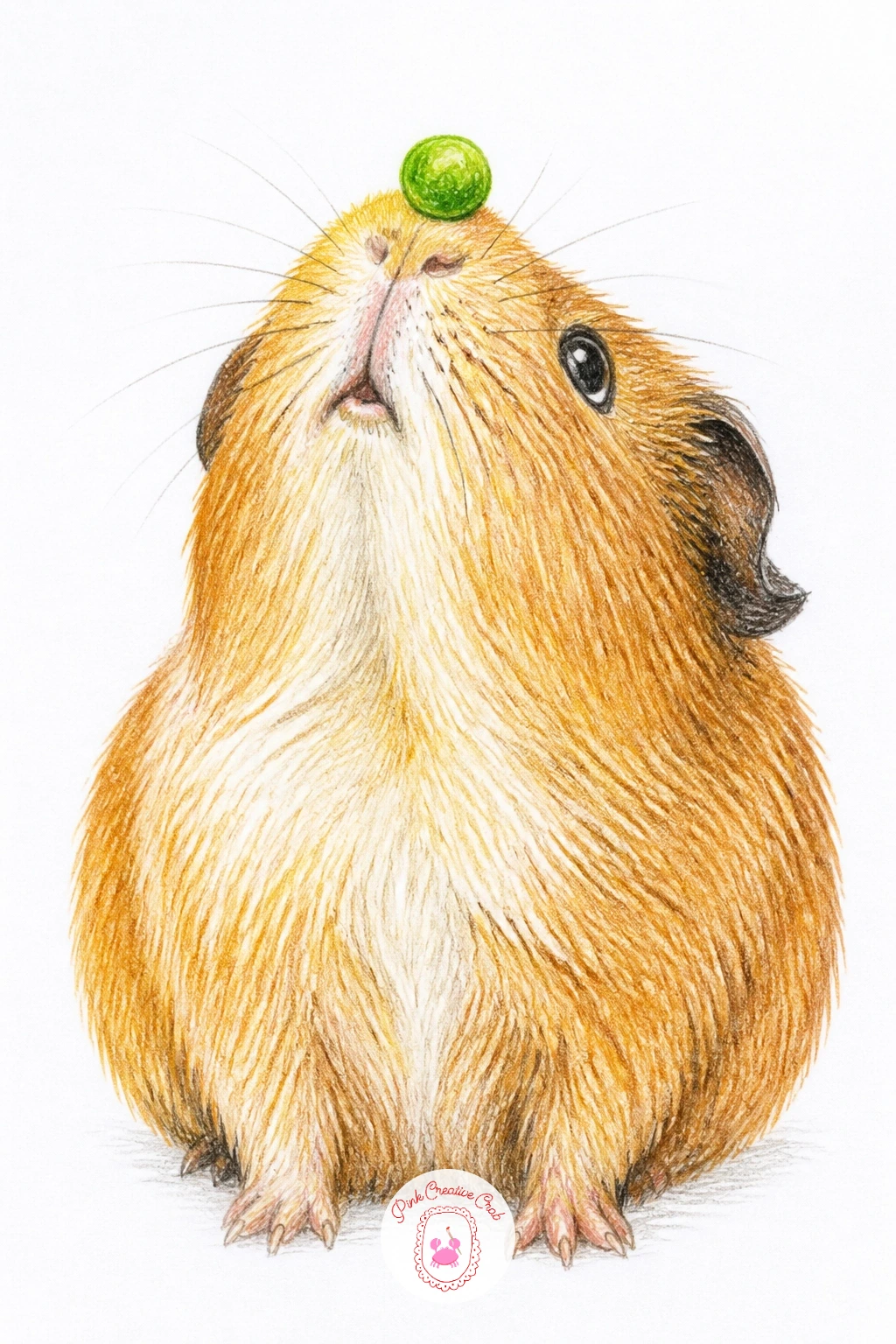 Guinea Pig With Pea On Nose — A guinea pig with a pea on its nose is a silly little balancing act, barely more than one extra tiny shape added to a simple