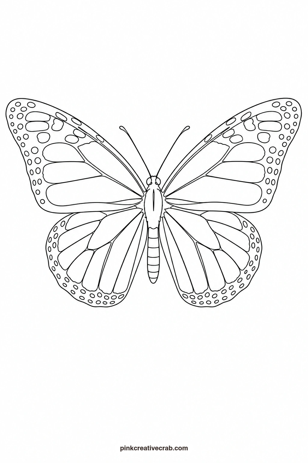 Orange Monarch Butterfly Outline printable page. Butterfly template