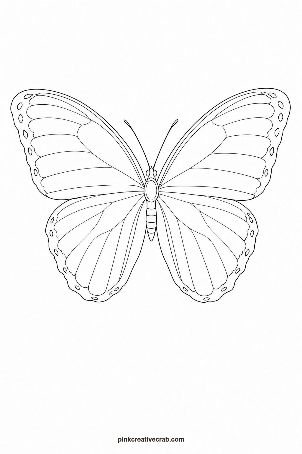 Blue Morpho Butterfly Outline printable page. Butterfly template