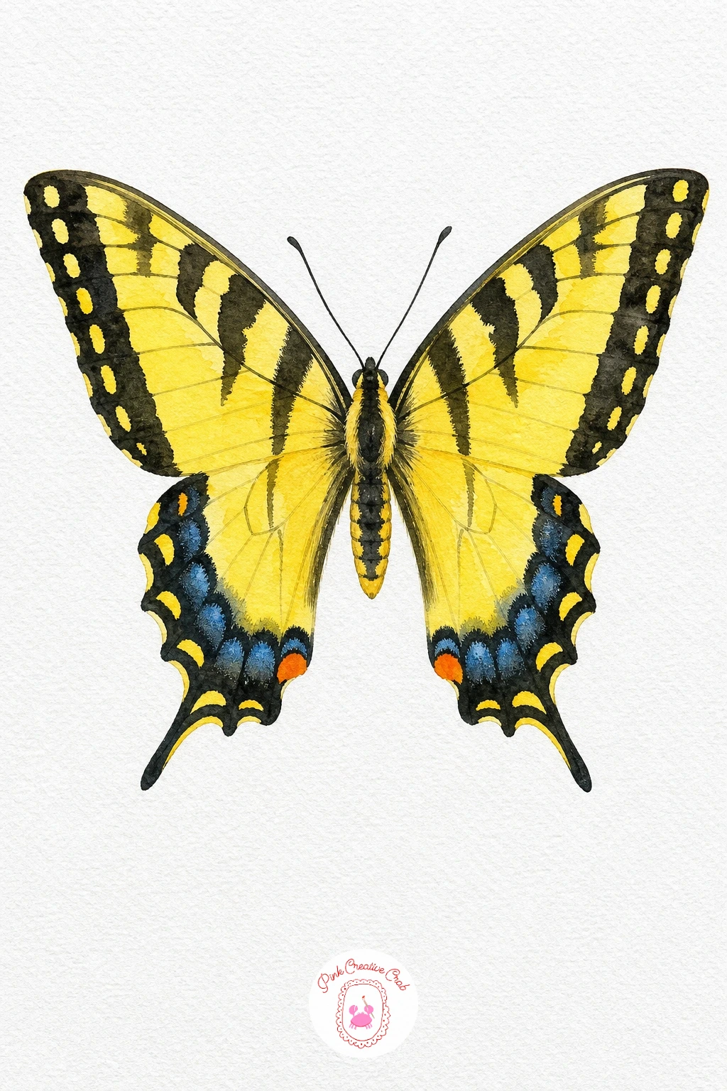 Yellow Swallowtail Butterfly — Lay a pale lemon yellow wash across both wings first and let it dry completely before adding detail. Butterfly template
