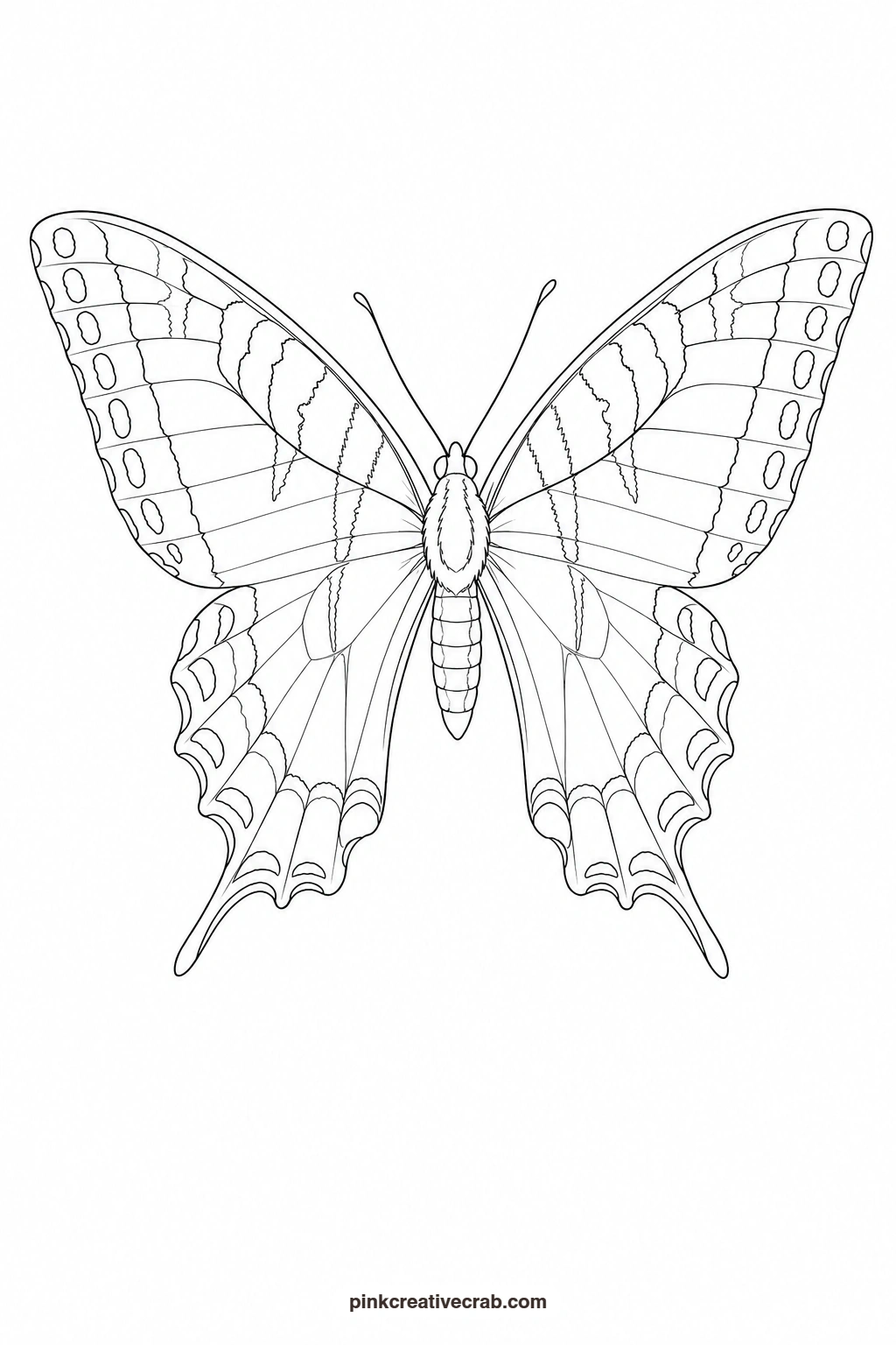 Yellow Swallowtail Butterfly Outline printable page. Butterfly template