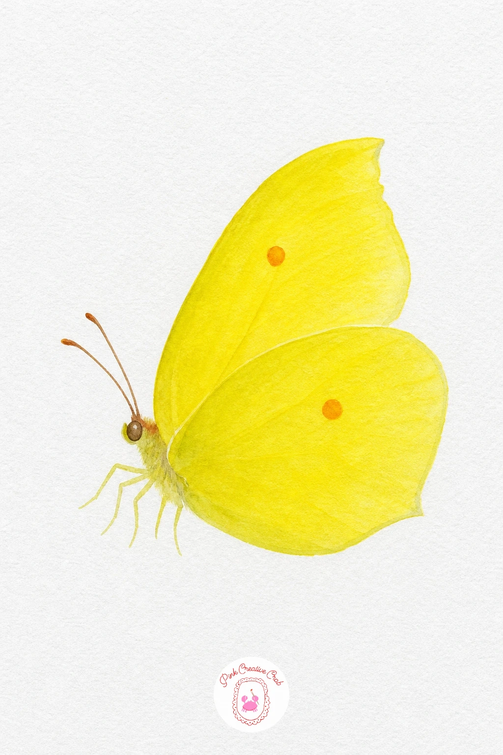Lemon Yellow Brimstone Butterfly — This is one of the simplest shapes in the set, just two pointed wing shapes closed together side by side. Butterfly template
