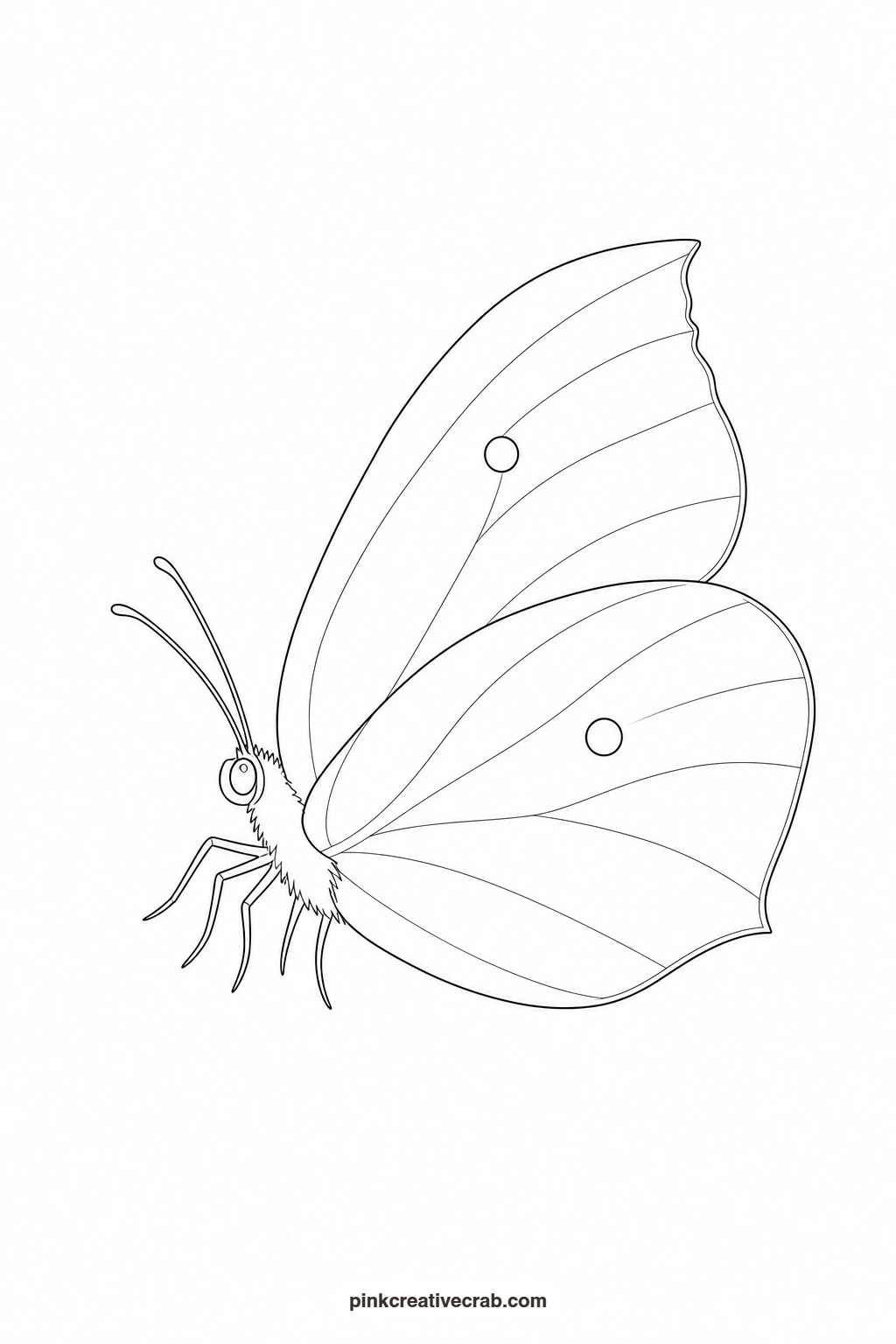 Lemon Yellow Brimstone Butterfly Outline printable page. Butterfly template