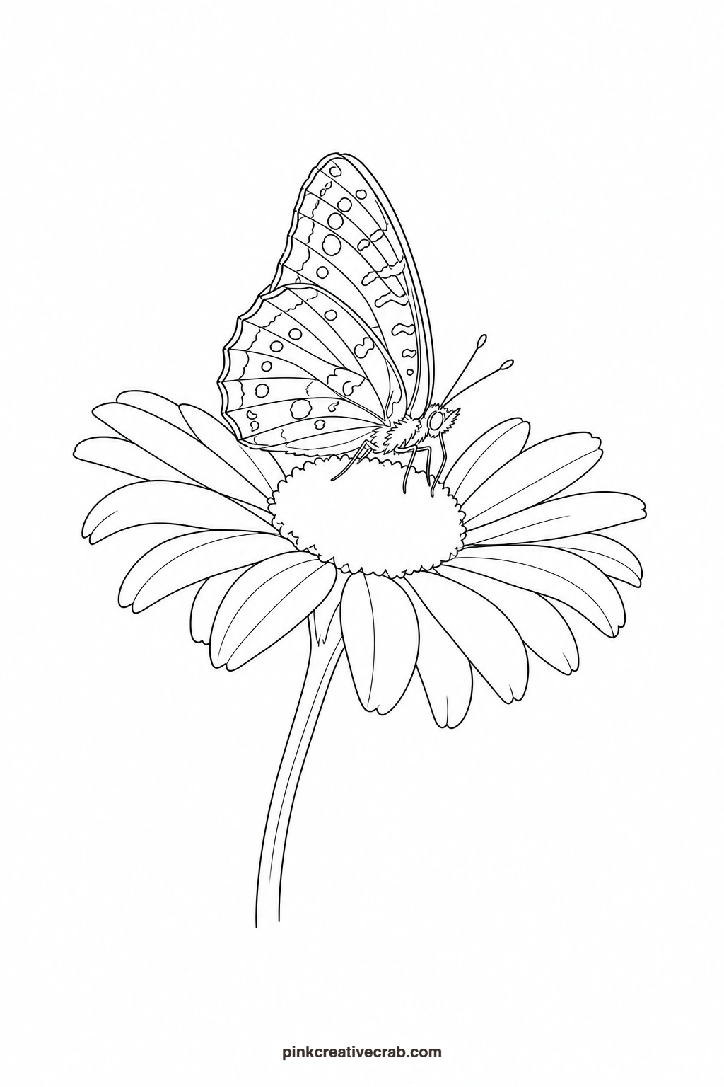 Butterfly on a Daisy Outline printable page. Butterfly template
