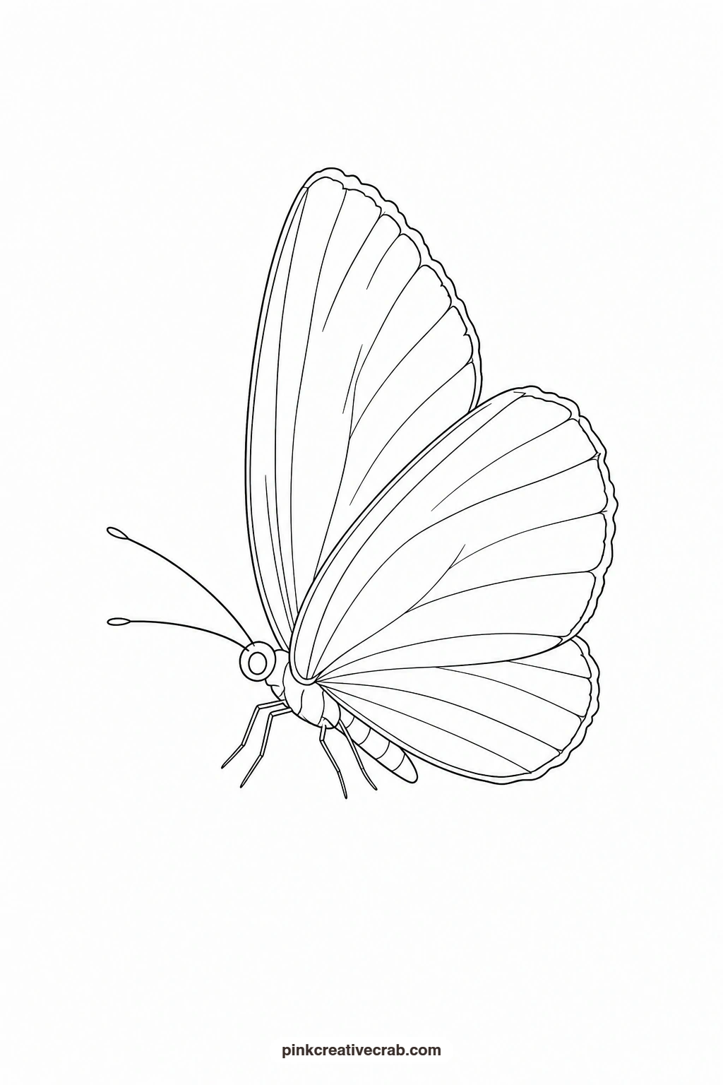 Small Blue Butterfly, Wings Half Open Outline printable page. Butterfly template