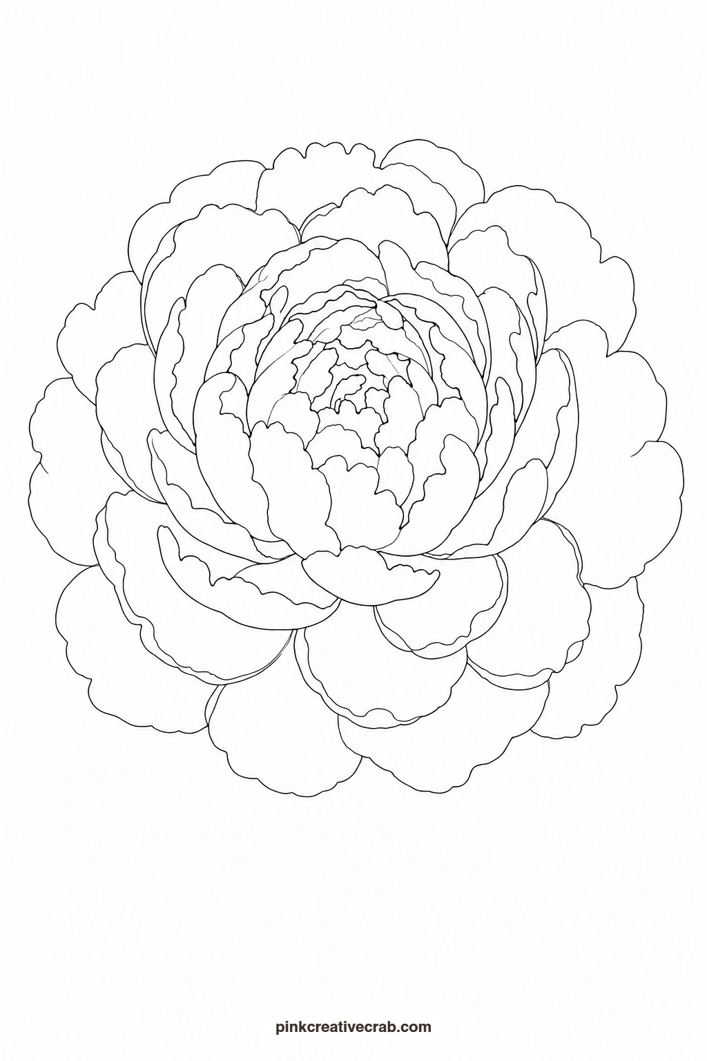 Pink Peony Bloom Outline printable page. Flower template