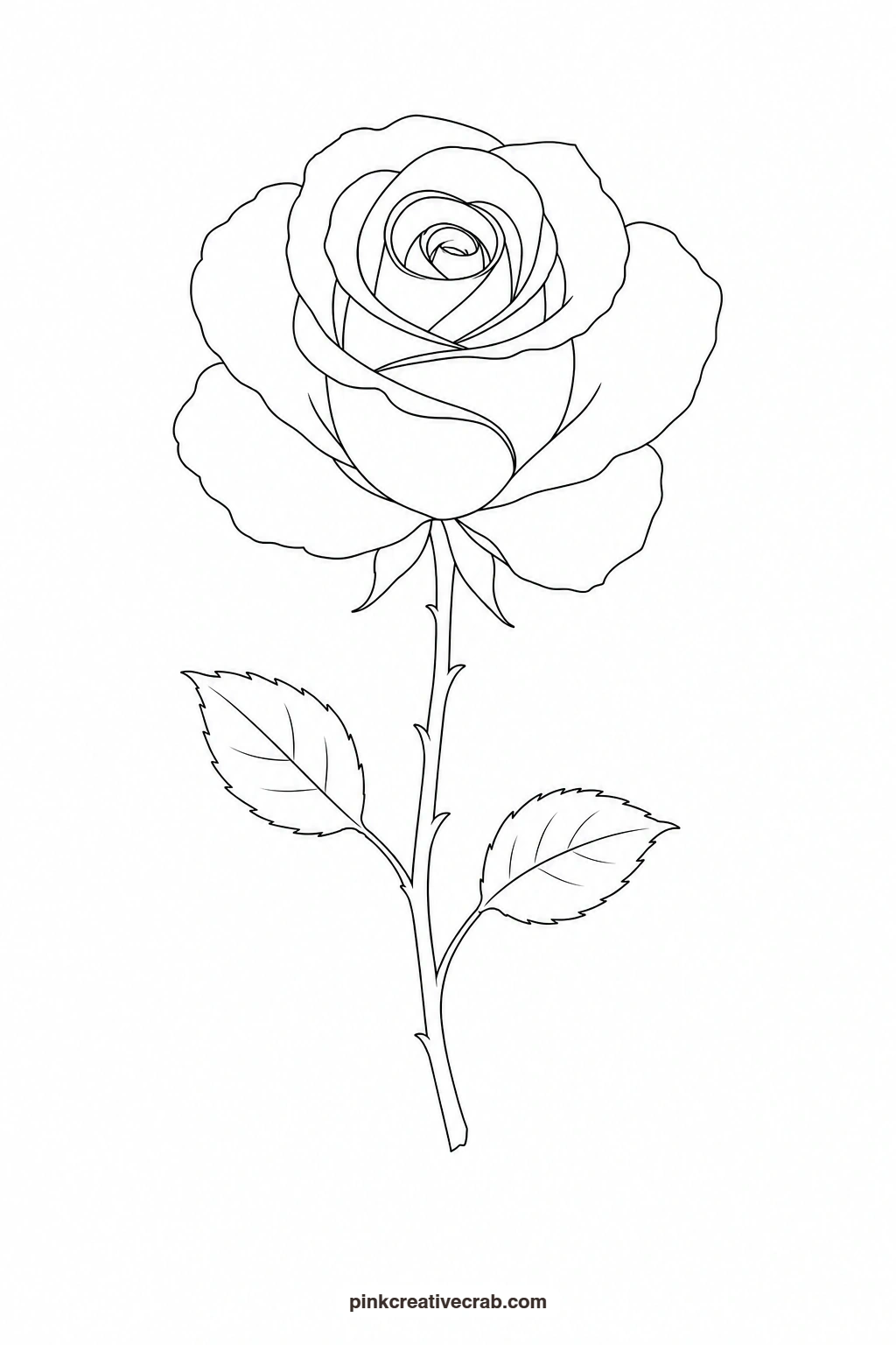 Single Rose on a Stem Outline printable page. Flower template