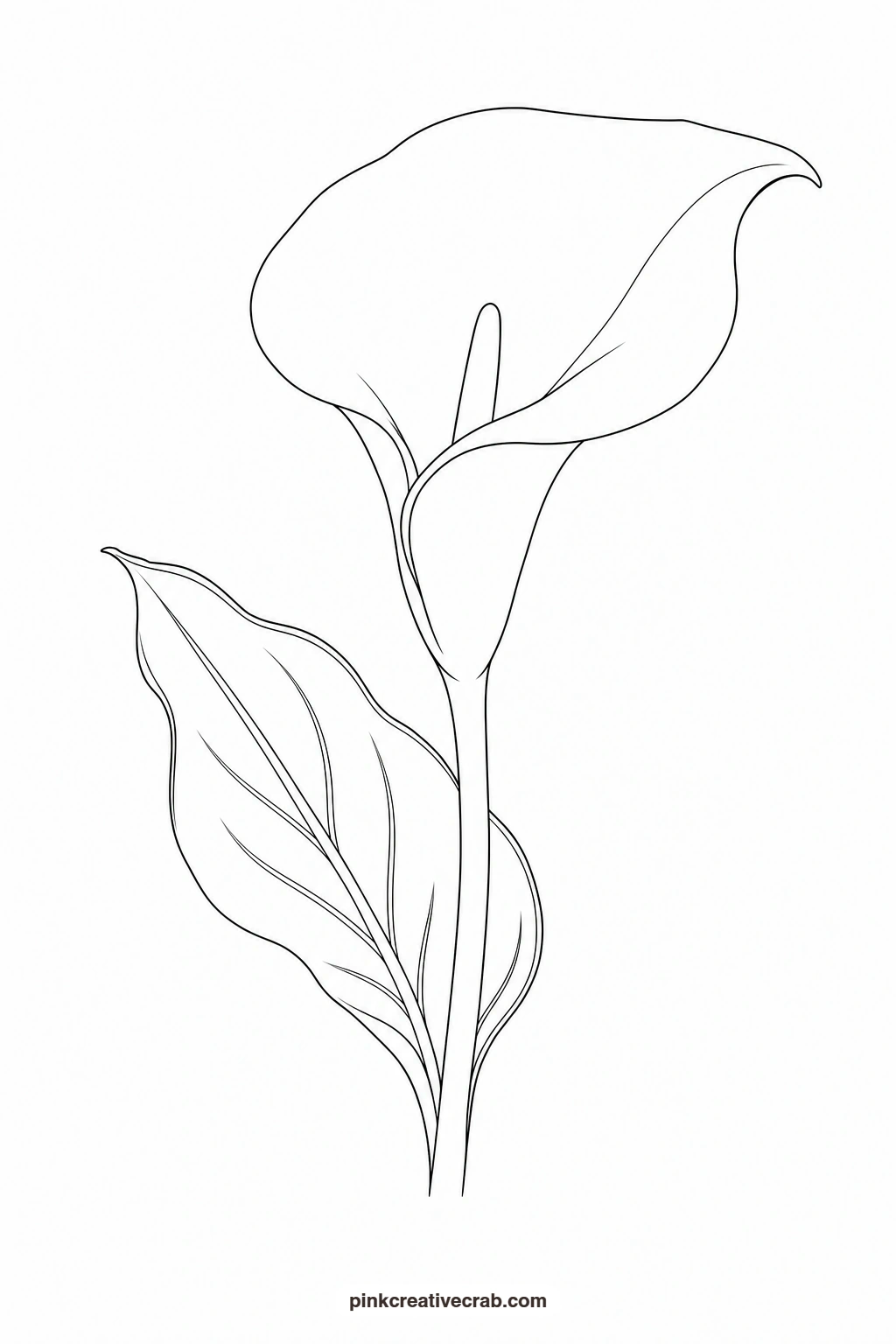 White Calla Lily With One Leaf Outline printable page. Flower template