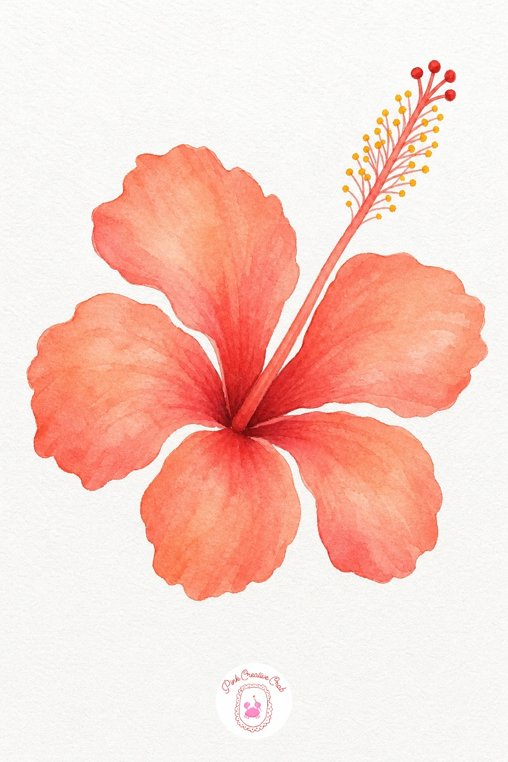 Coral Hibiscus With Long Stamen — Mix a coral wash from Cadmium Orange and a little Opera Pink and lay it flat across all five petals, then while still wet