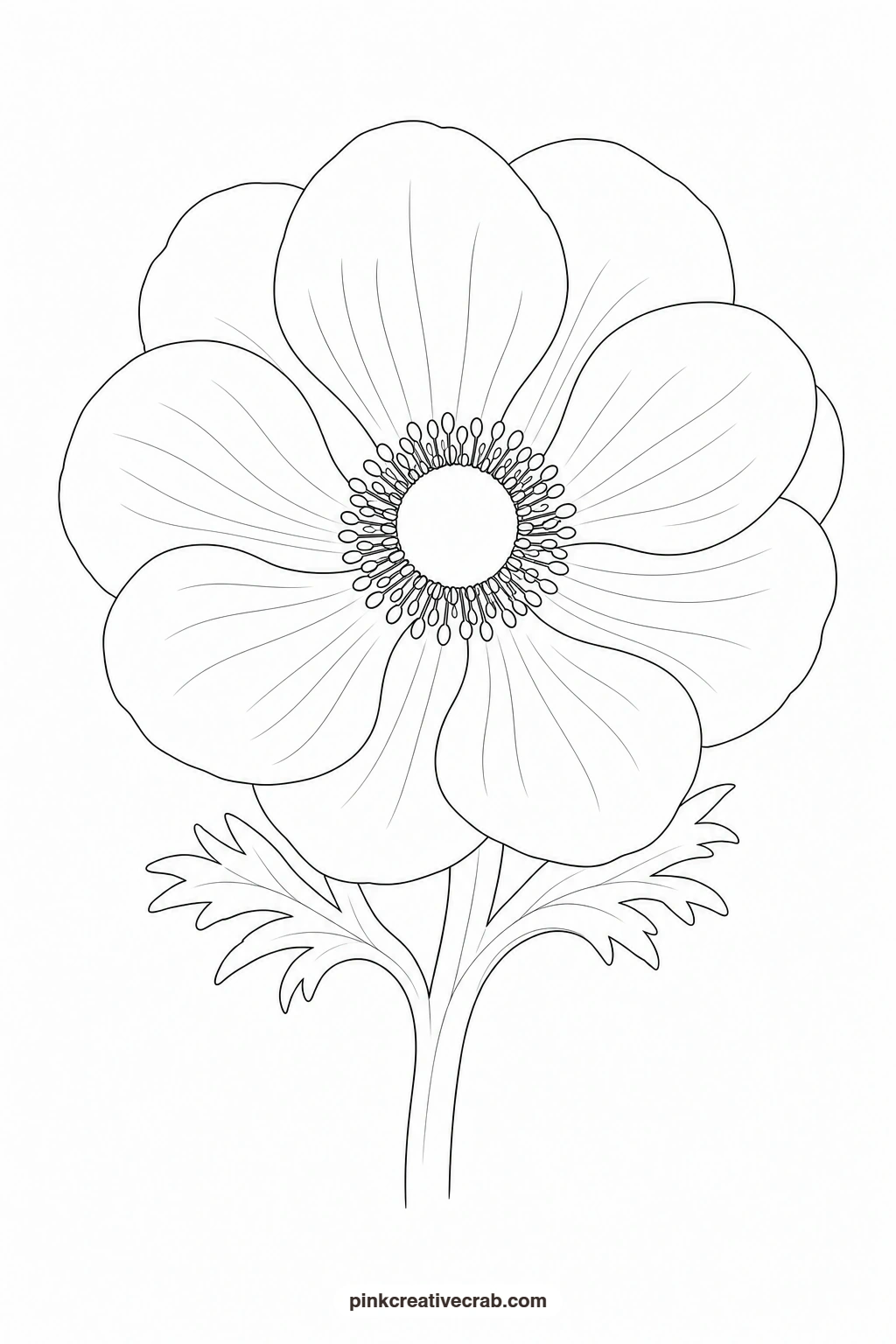 Purple Anemone With Dark Center Outline printable page. Flower template