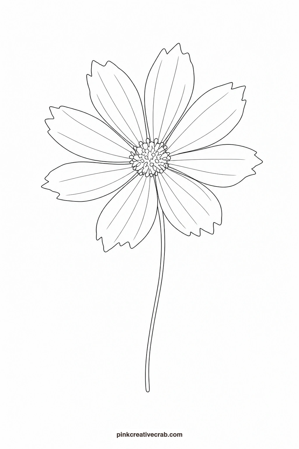 Pink Cosmos on a Thin Stem Outline printable page. Flower template