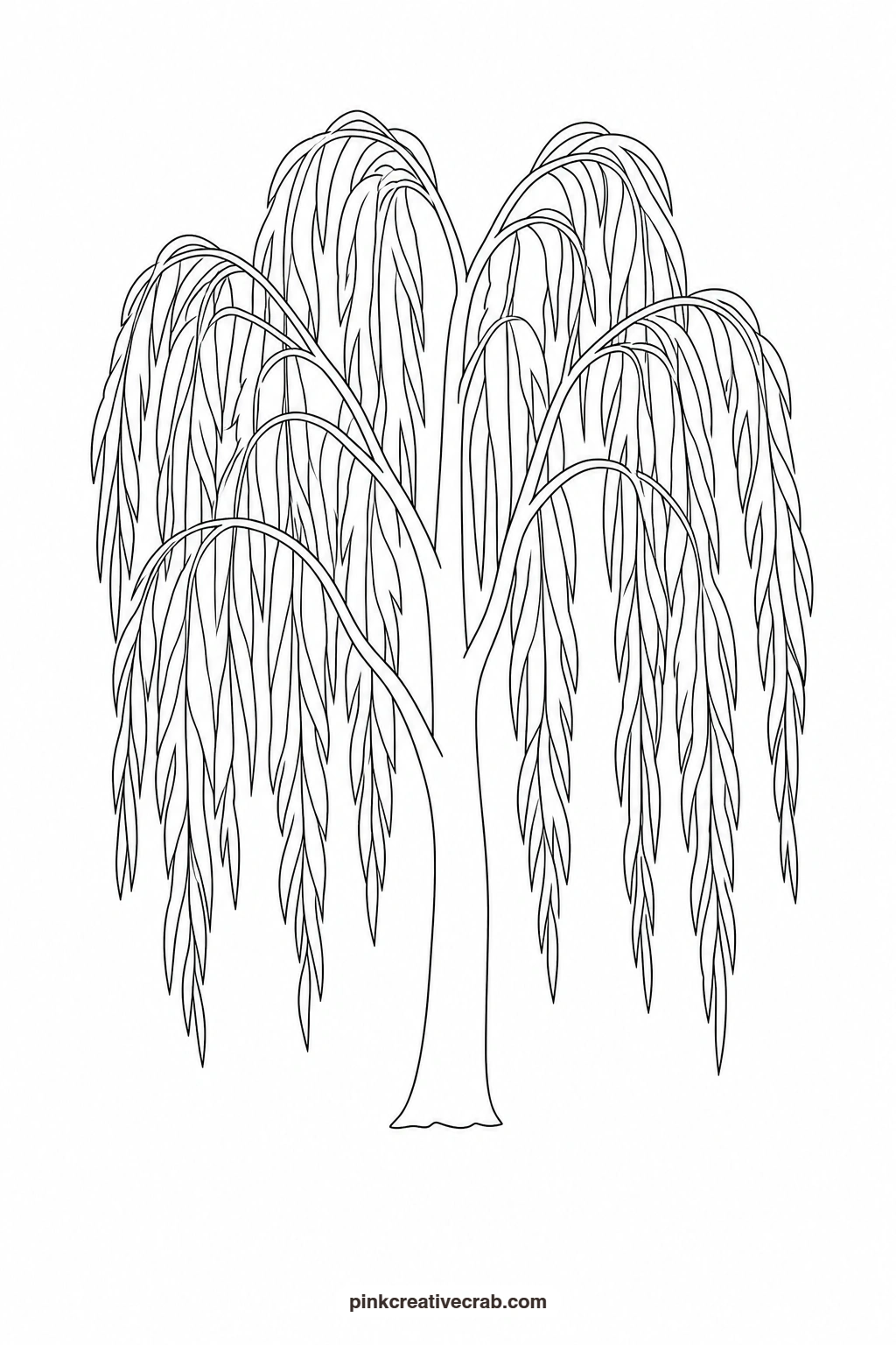 Weeping Willow Outline printable page. Watercolor trees