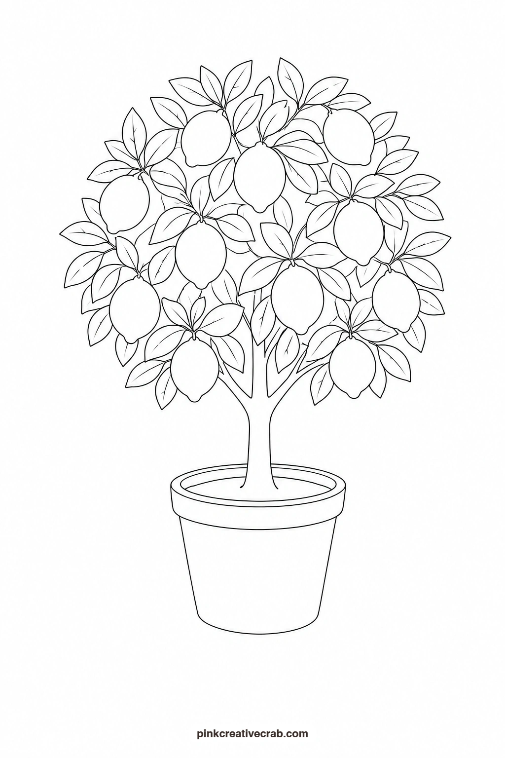 Lemon Tree in a Pot Outline printable page. Watercolor trees