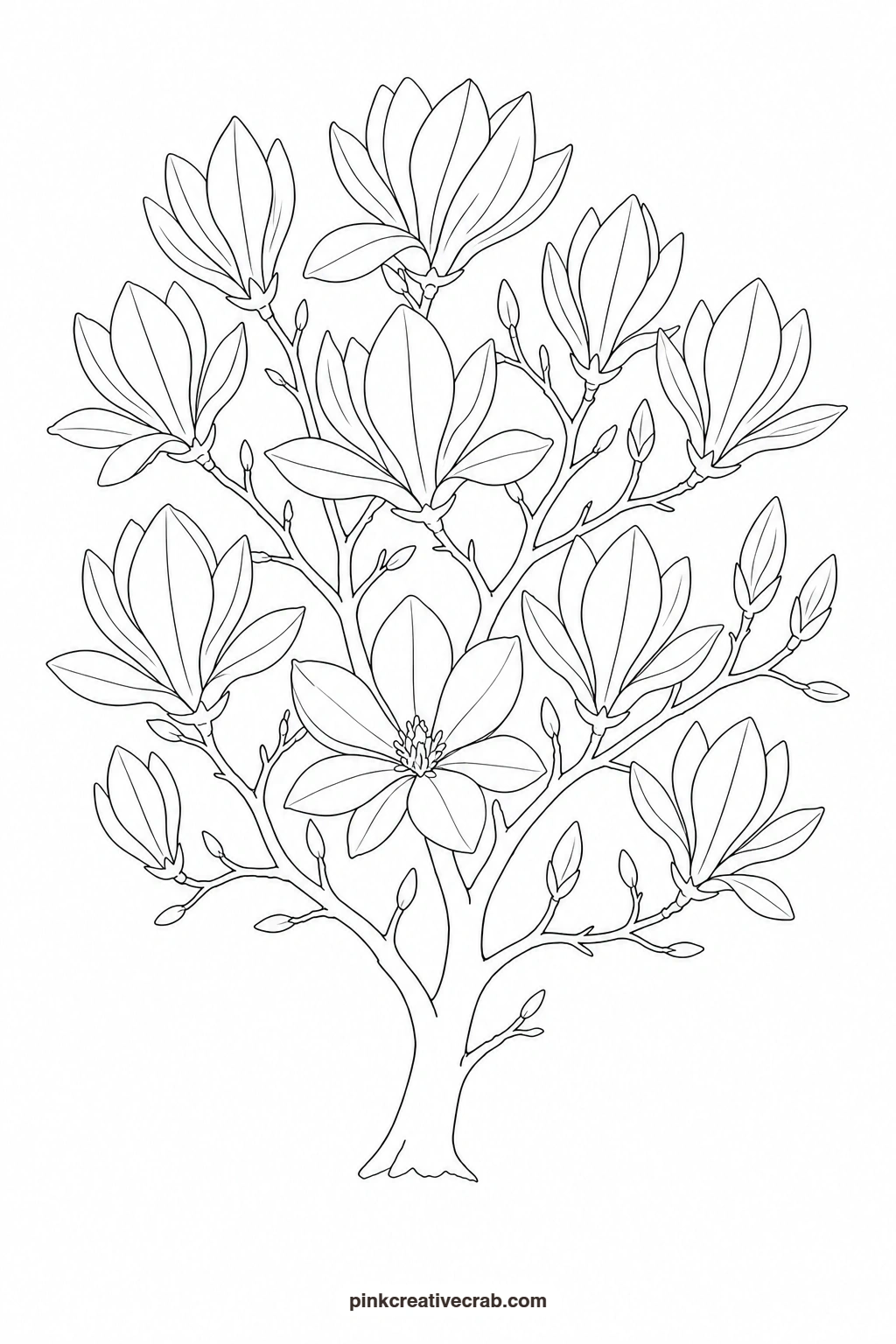 Magnolia Tree in Bloom Outline printable page. Watercolor trees