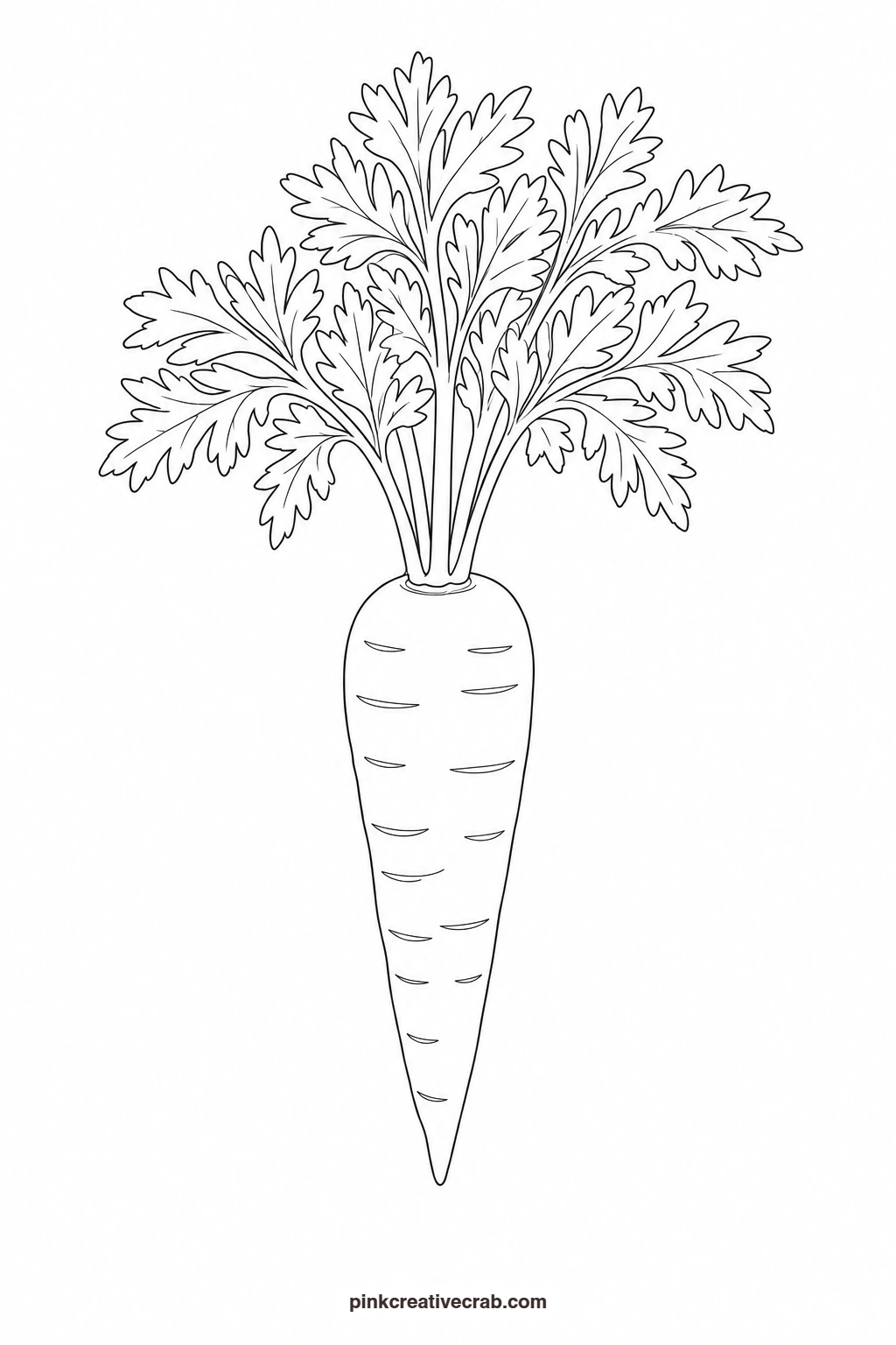Carrot With Leaves Outline printable page. Watercolor vegetables