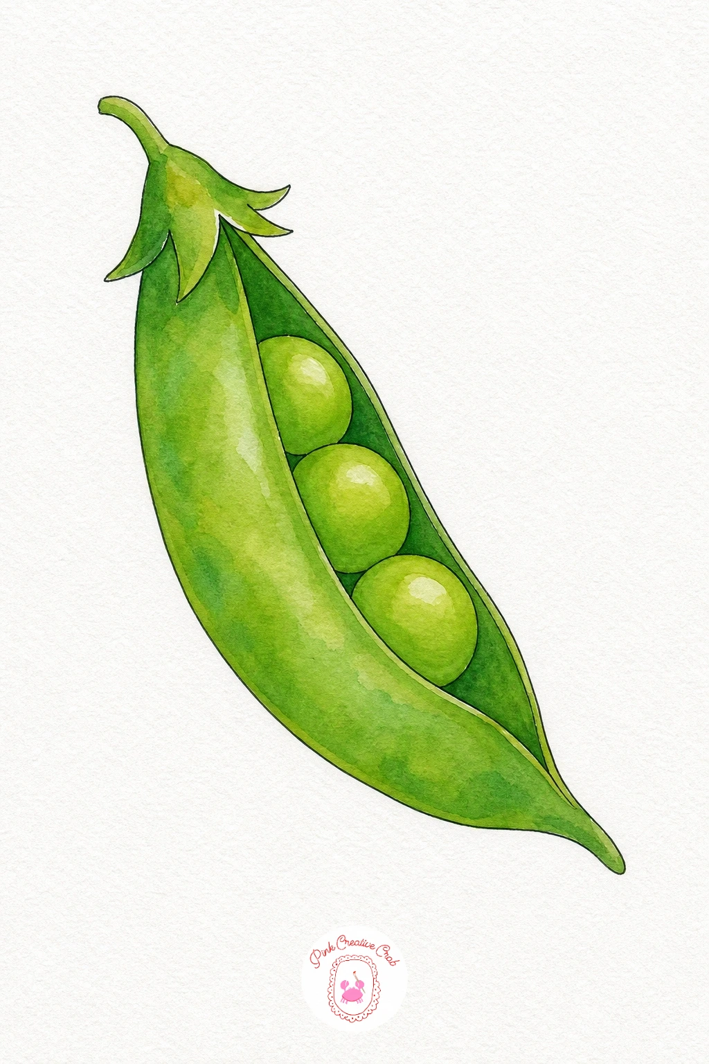 Pea Pod — Paint the outer pod shape first in a light wash of sap green, keeping it loose and even, then let it dry before adding the three peas inside in a