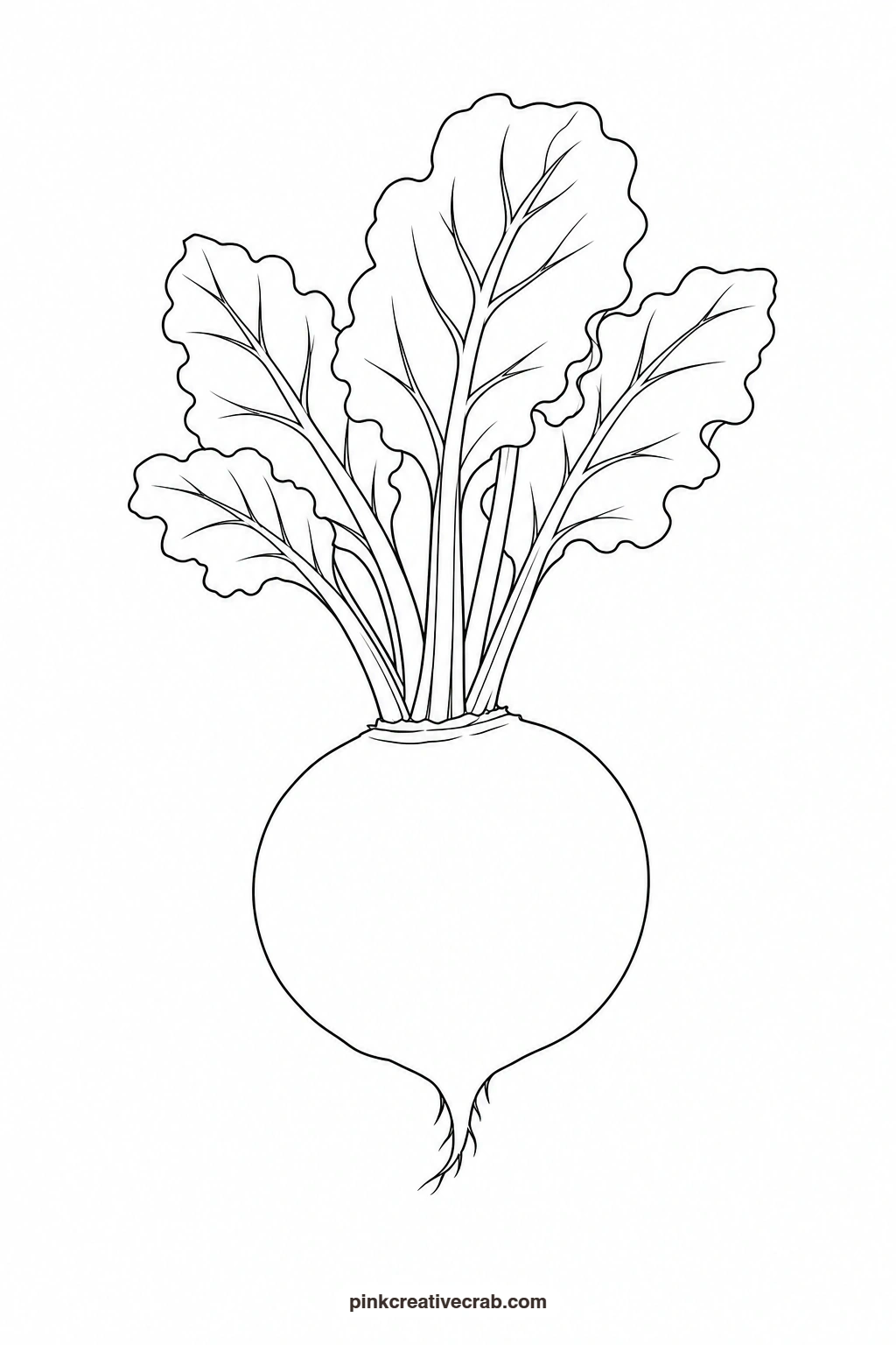 Beetroot Outline printable page. Watercolor vegetables