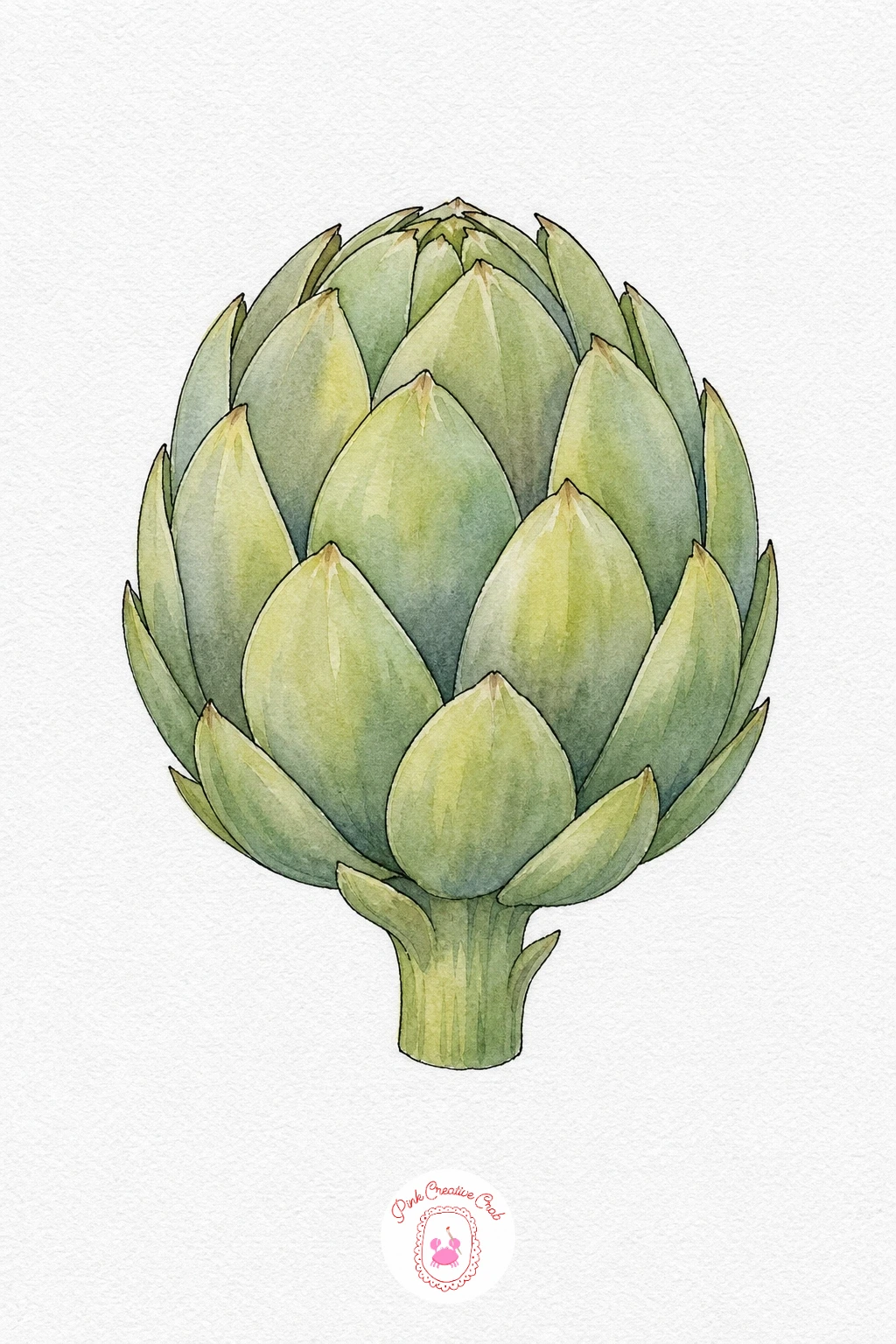 Artichoke — Wet the whole oval bulb and lay in a soft green wash, then while still damp touch grey green into the lower half so the two colors blend into a