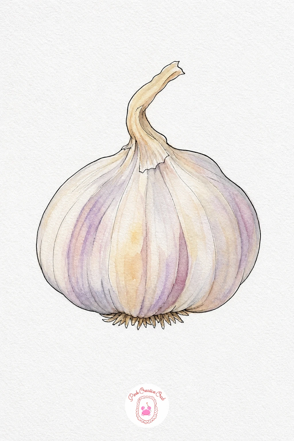 Garlic Bulb — Keep this one mostly the white of the paper, adding only the faintest wash of naples yellow mixed with a touch of raw umber across the whole bulb