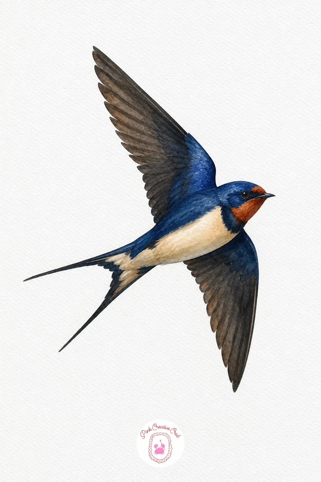 Swallow in Flight — Wash the back, wings and tail in a deep indigo blue mixed with a touch of black, leaving the belly and throat as clean pale cream.