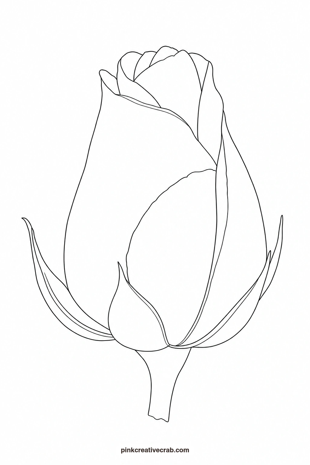 Large Rose Bud Outline printable page. Floral watercolor