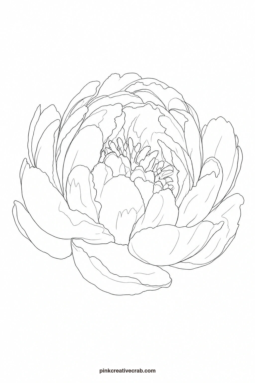 Coral Peony Half Open Outline printable page. Floral watercolor
