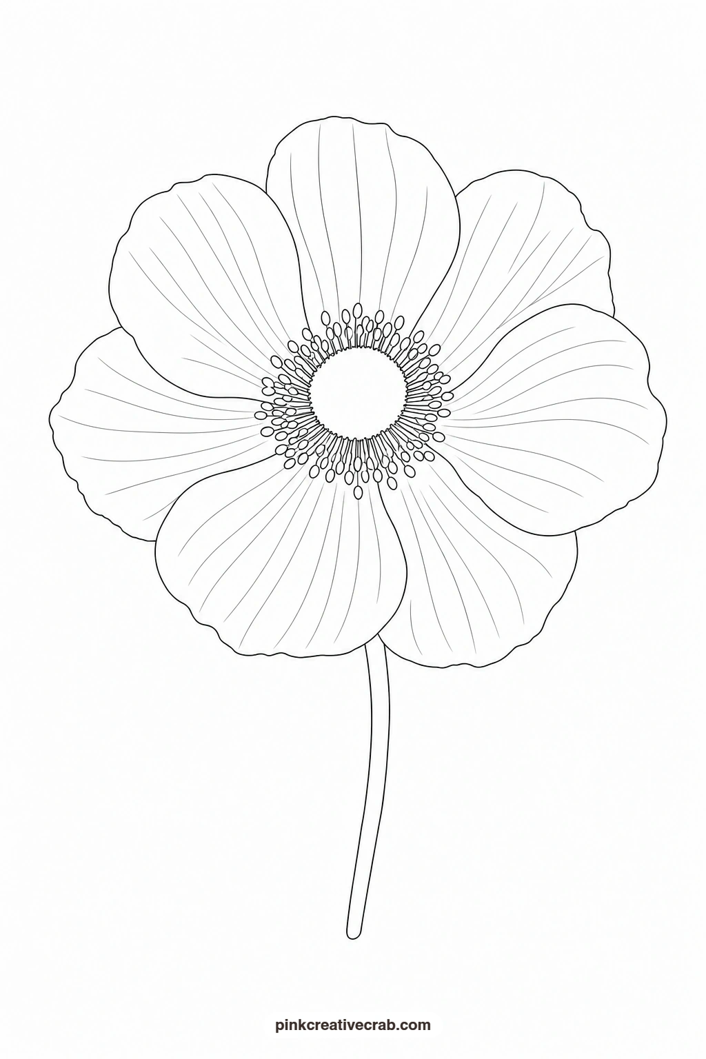 White Anemone With Dark Center Outline printable page. Floral watercolor