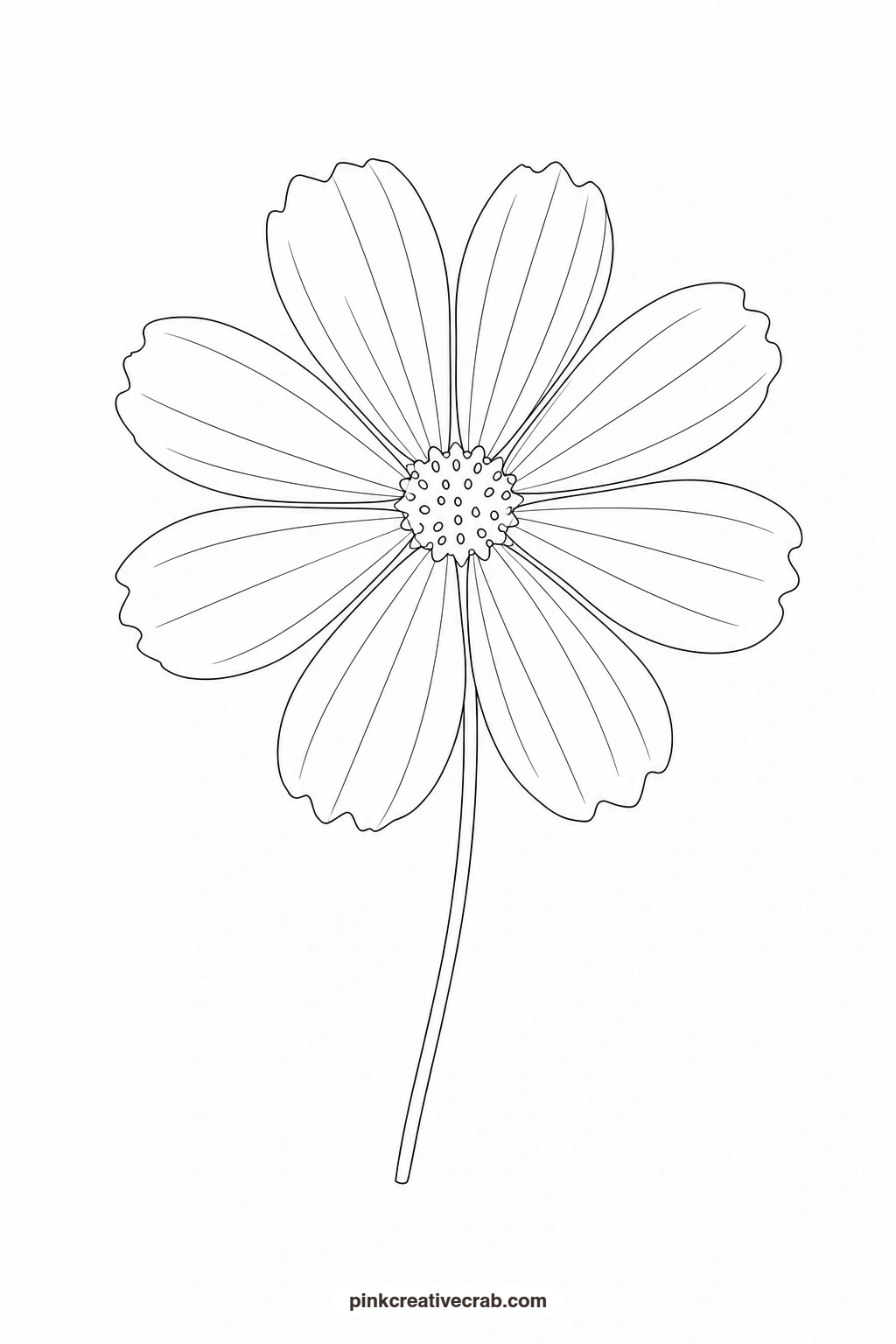 Cosmos Outline printable page. Floral watercolor