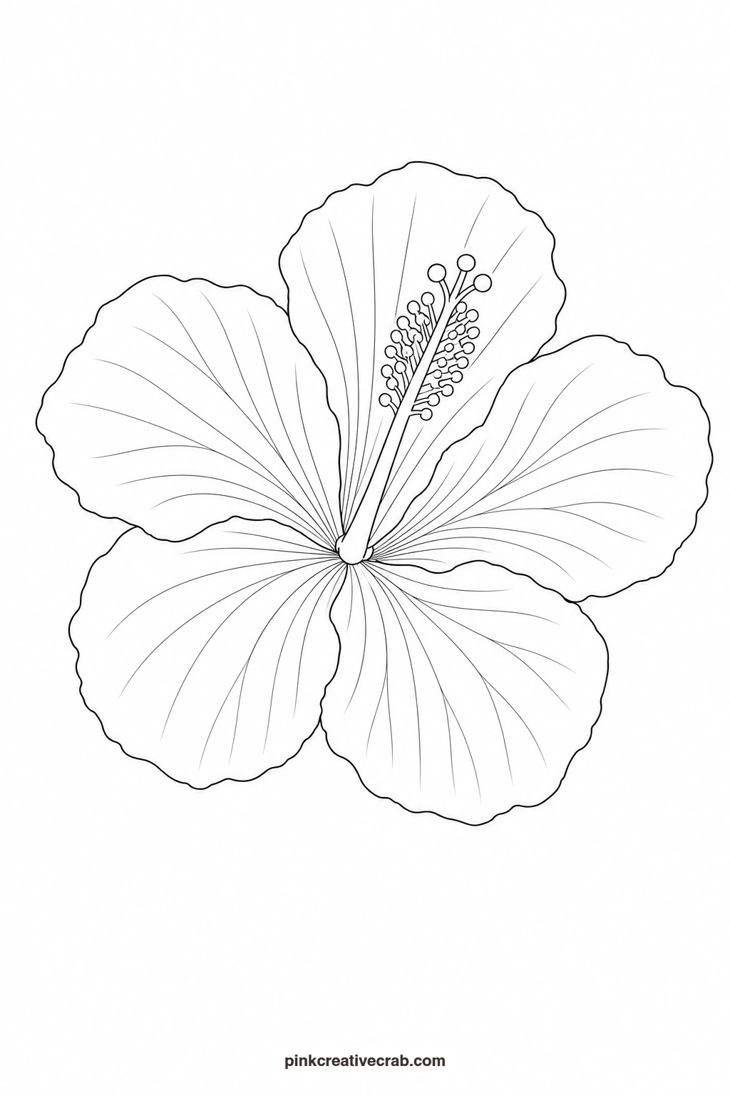Hibiscus Outline printable page. Floral watercolor