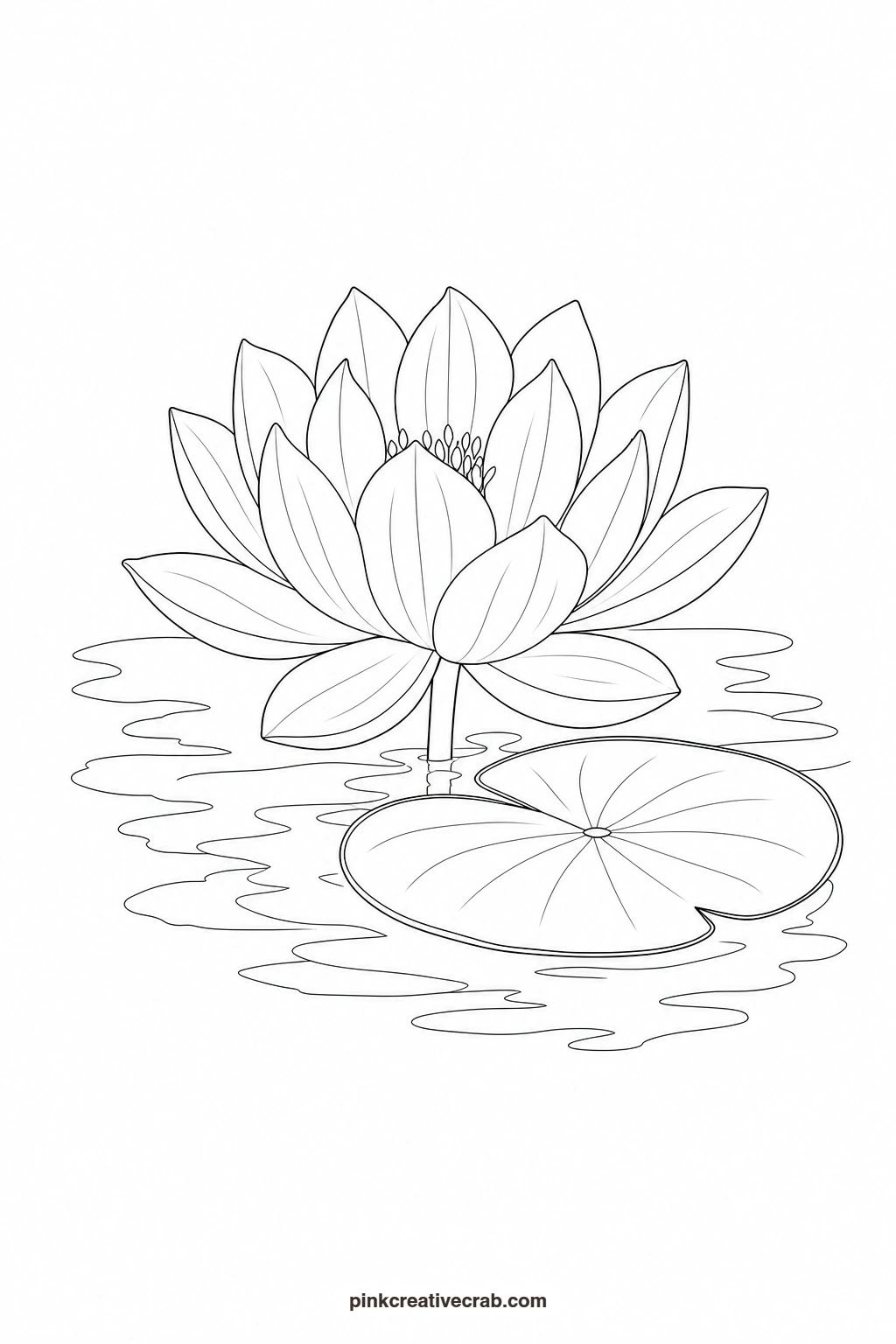 Lotus Outline printable page. Floral watercolor