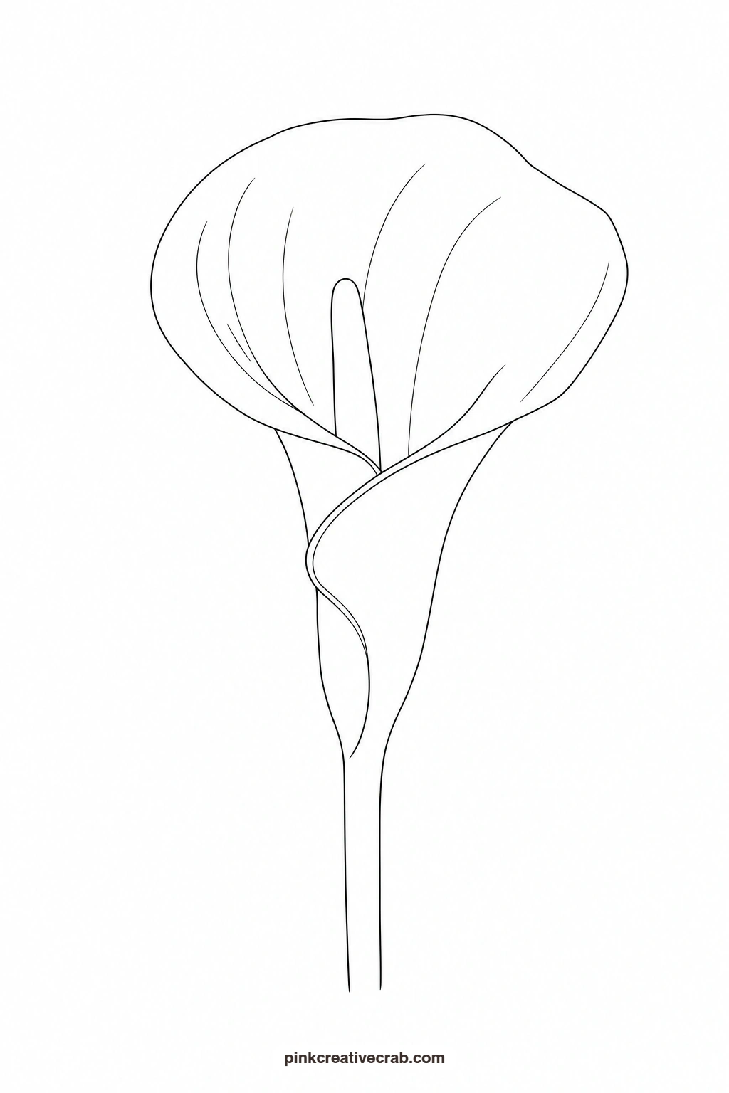 Calla Lily Outline printable page. Floral watercolor
