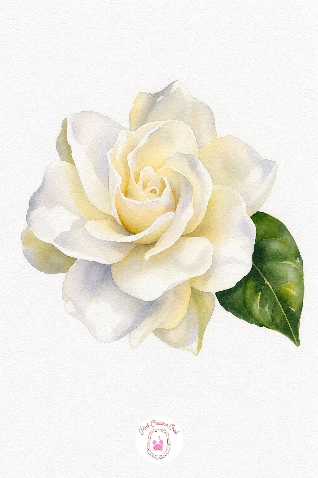 Gardenia — Gardenia petals are nearly white, so mix only the faintest warm cream wash and let most of the shape stay bare paper, adding the cream mainly into