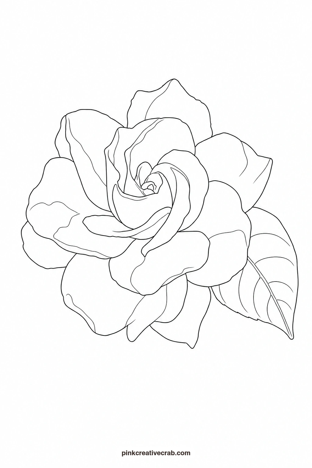 Gardenia Outline printable page. Floral watercolor