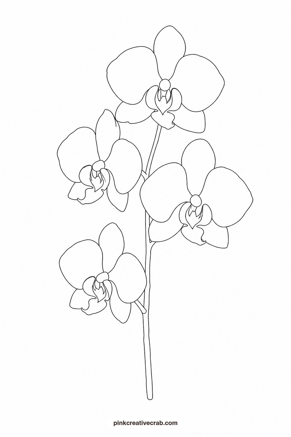 Orchid Stem Outline printable page. Floral watercolor