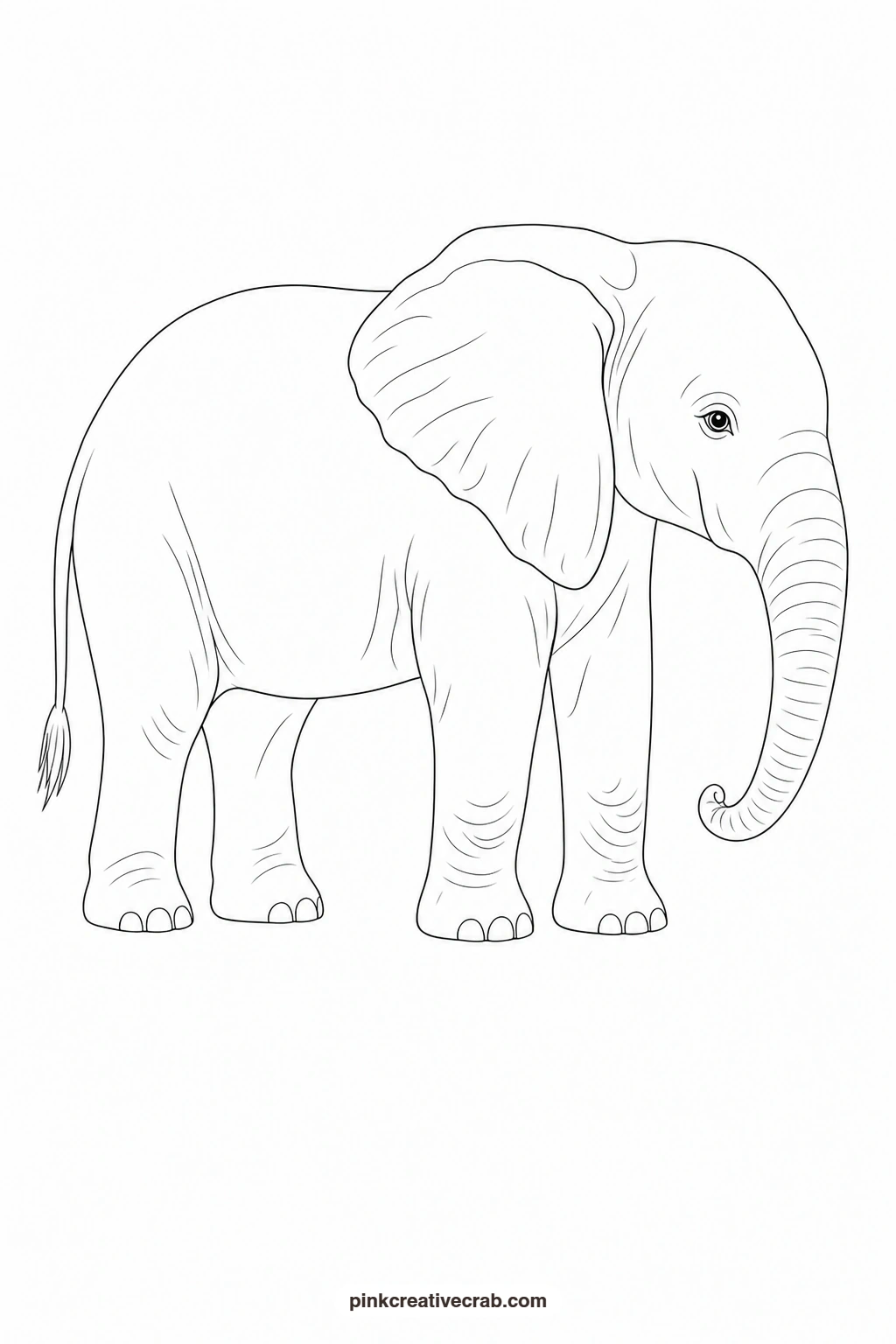 Elephant Outline printable page. Watercolor animals