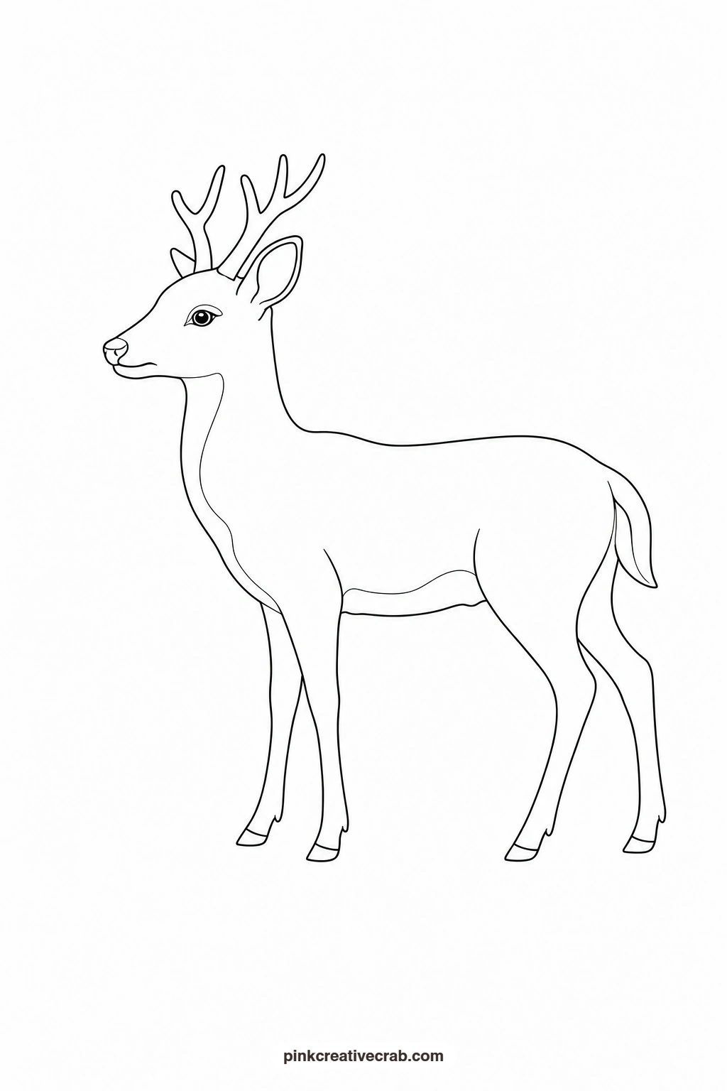 Deer Outline printable page. Watercolor animals