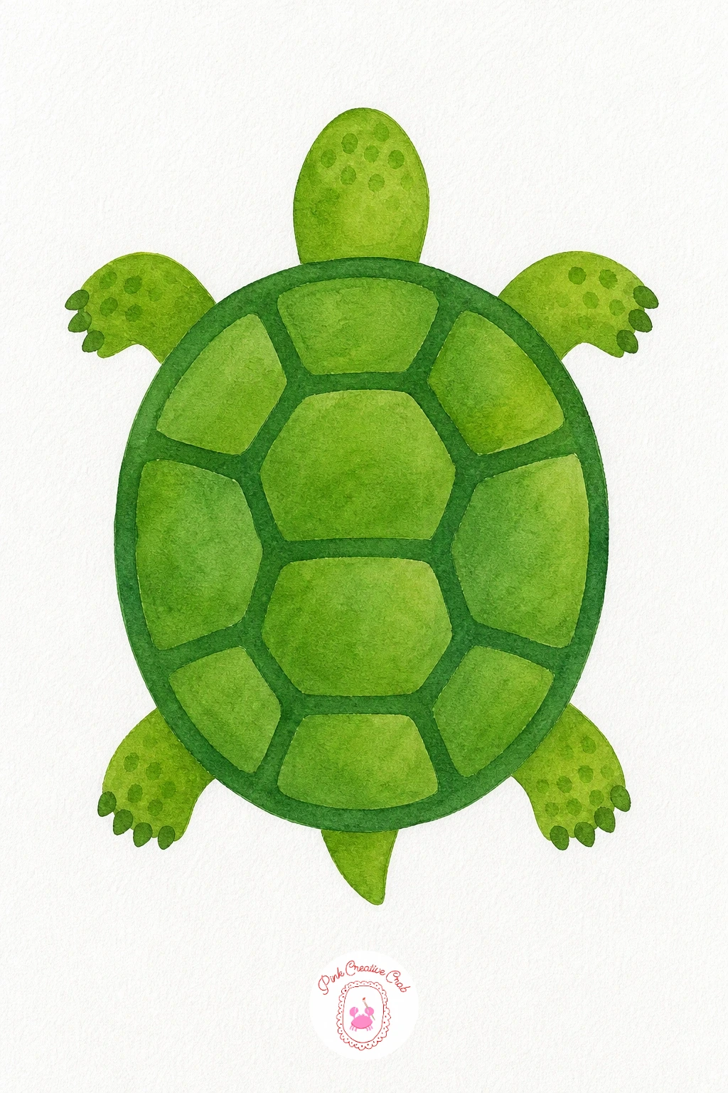Turtle — Paint the shell first with a mid green wash, then once dry, add a darker green border around each large section of the shell so the pattern stays