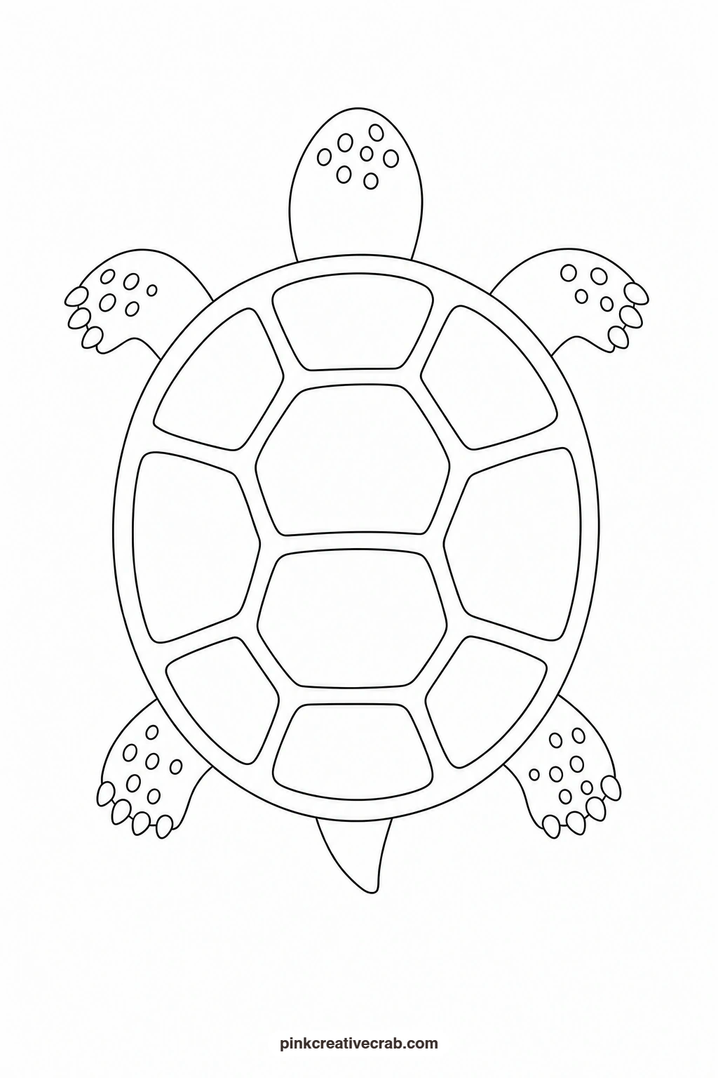 Turtle Outline printable page. Watercolor animals