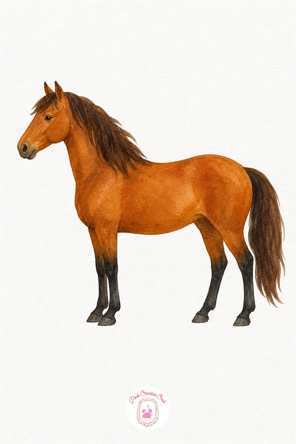Horse — Wash the body in warm chestnut brown and leave the mane and tail unpainted until this layer dries fully. Watercolor animals